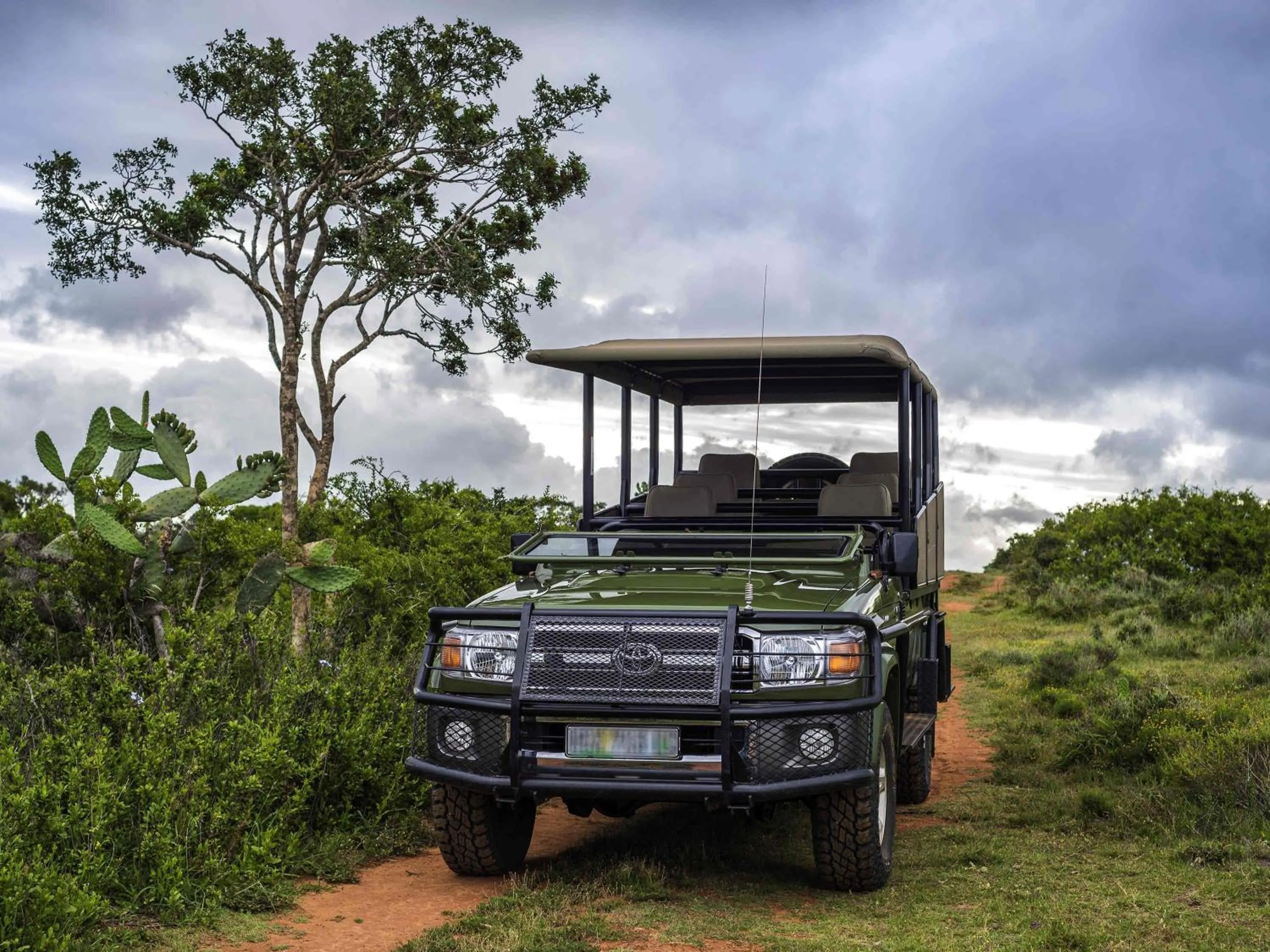 Other in Founders Lodge by Mantis