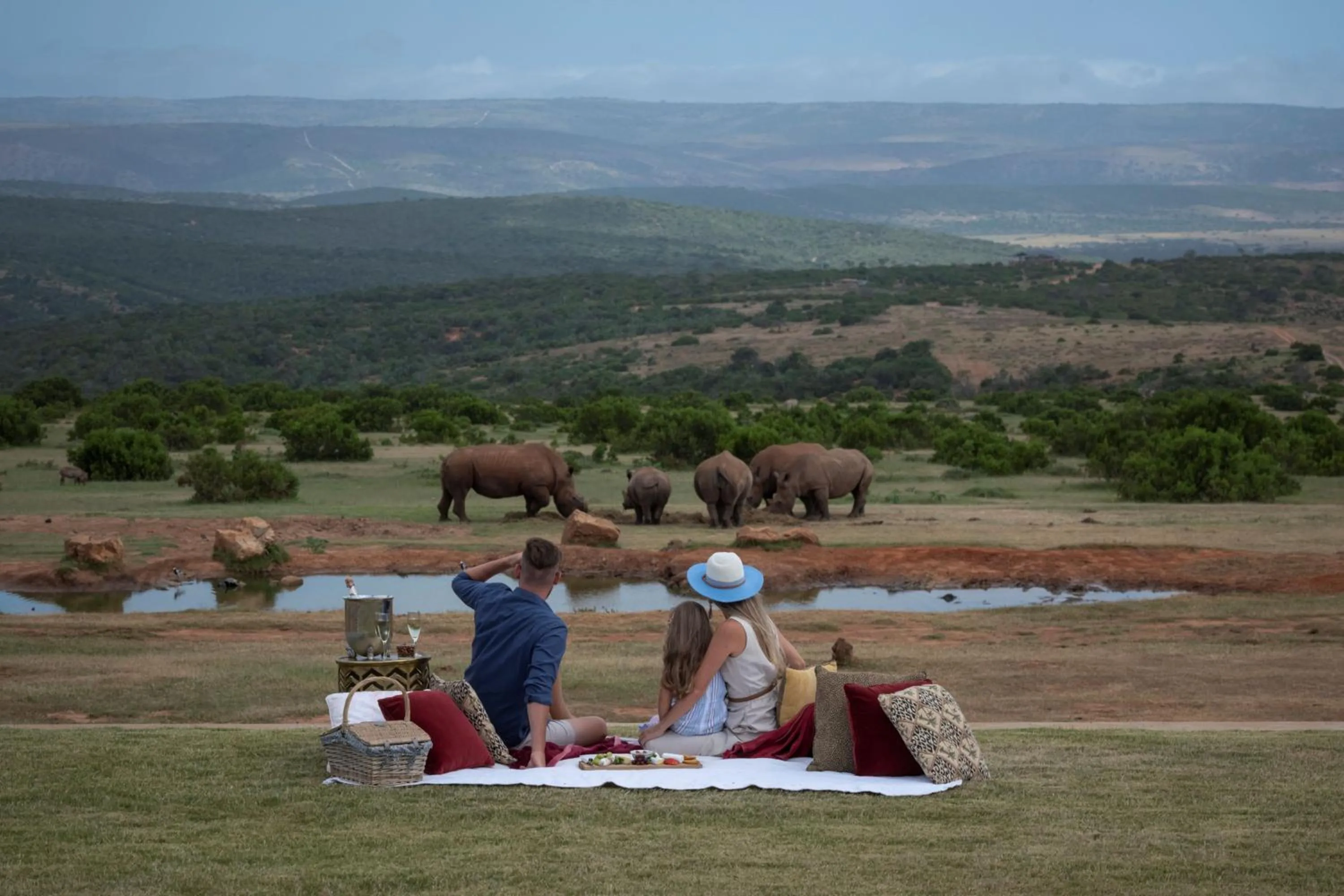 Property building in Founders Lodge by Mantis