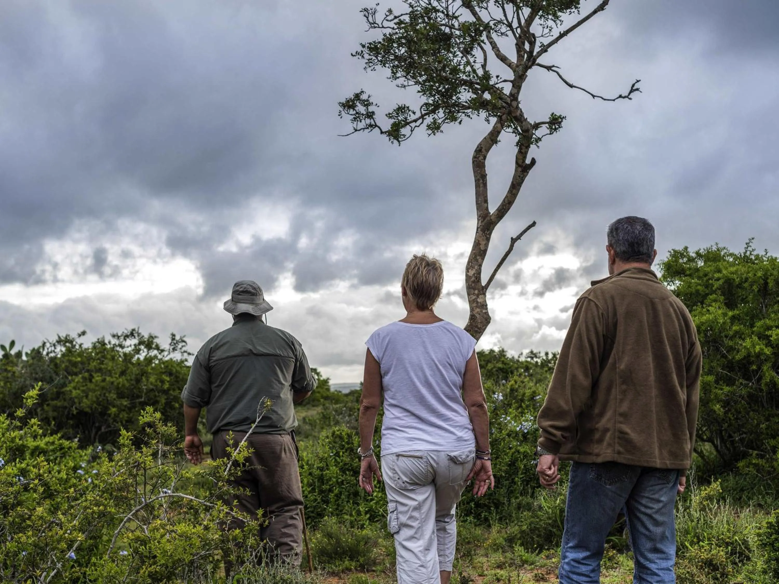 Other in Founders Lodge by Mantis