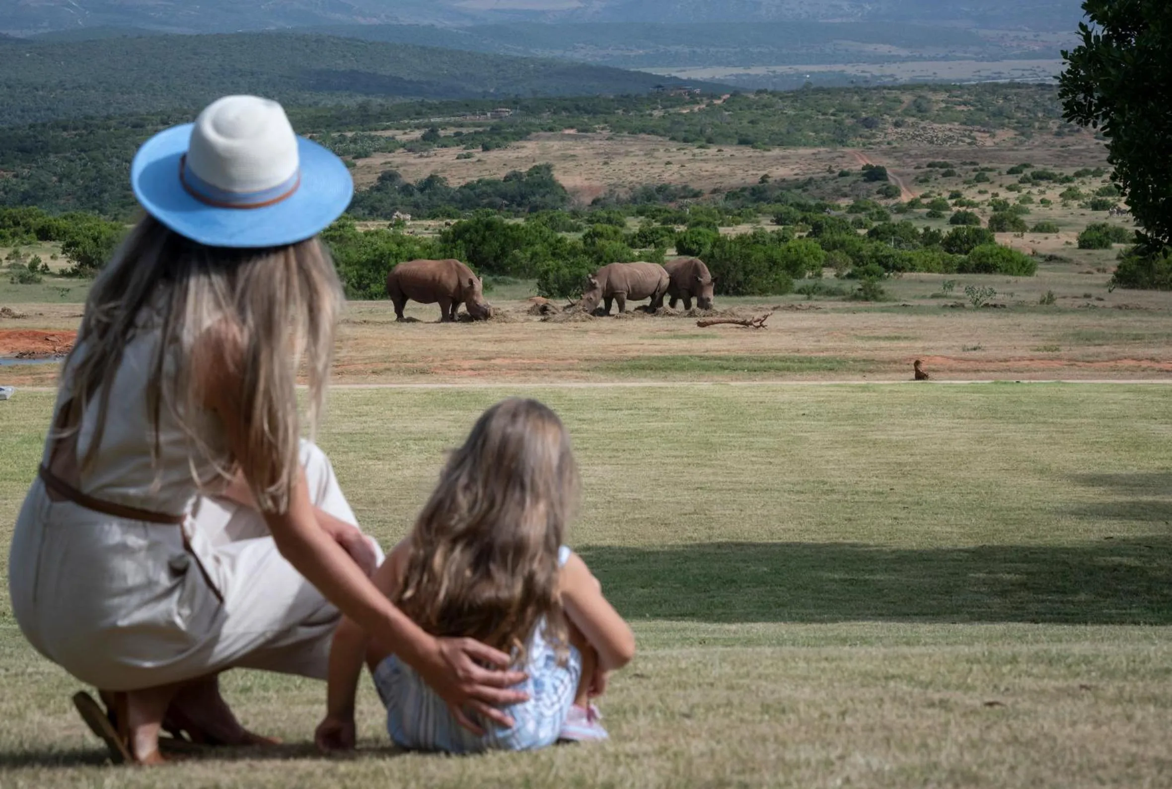 View (from property/room) in Founders Lodge by Mantis