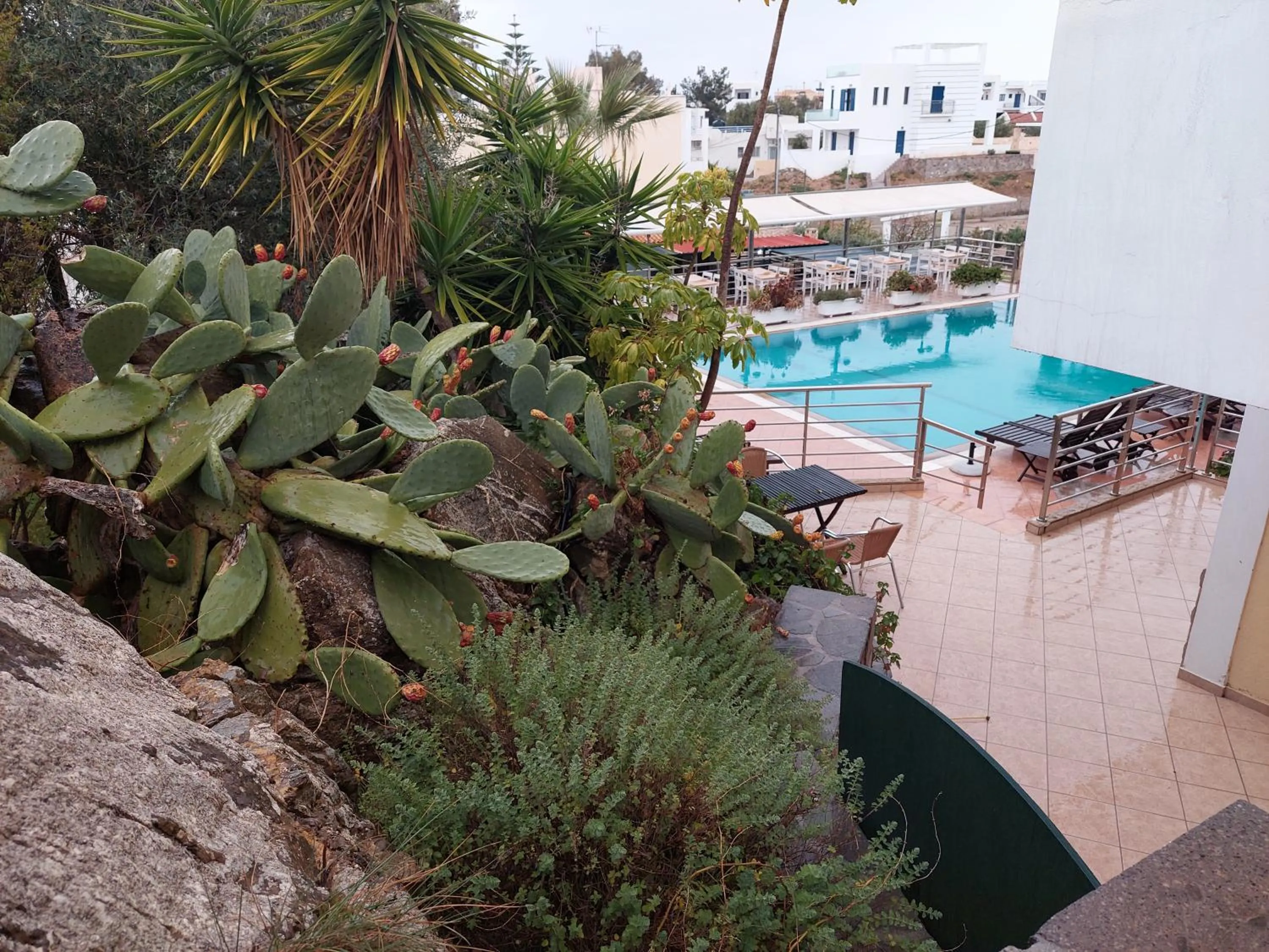 Garden view in Ela Mesa