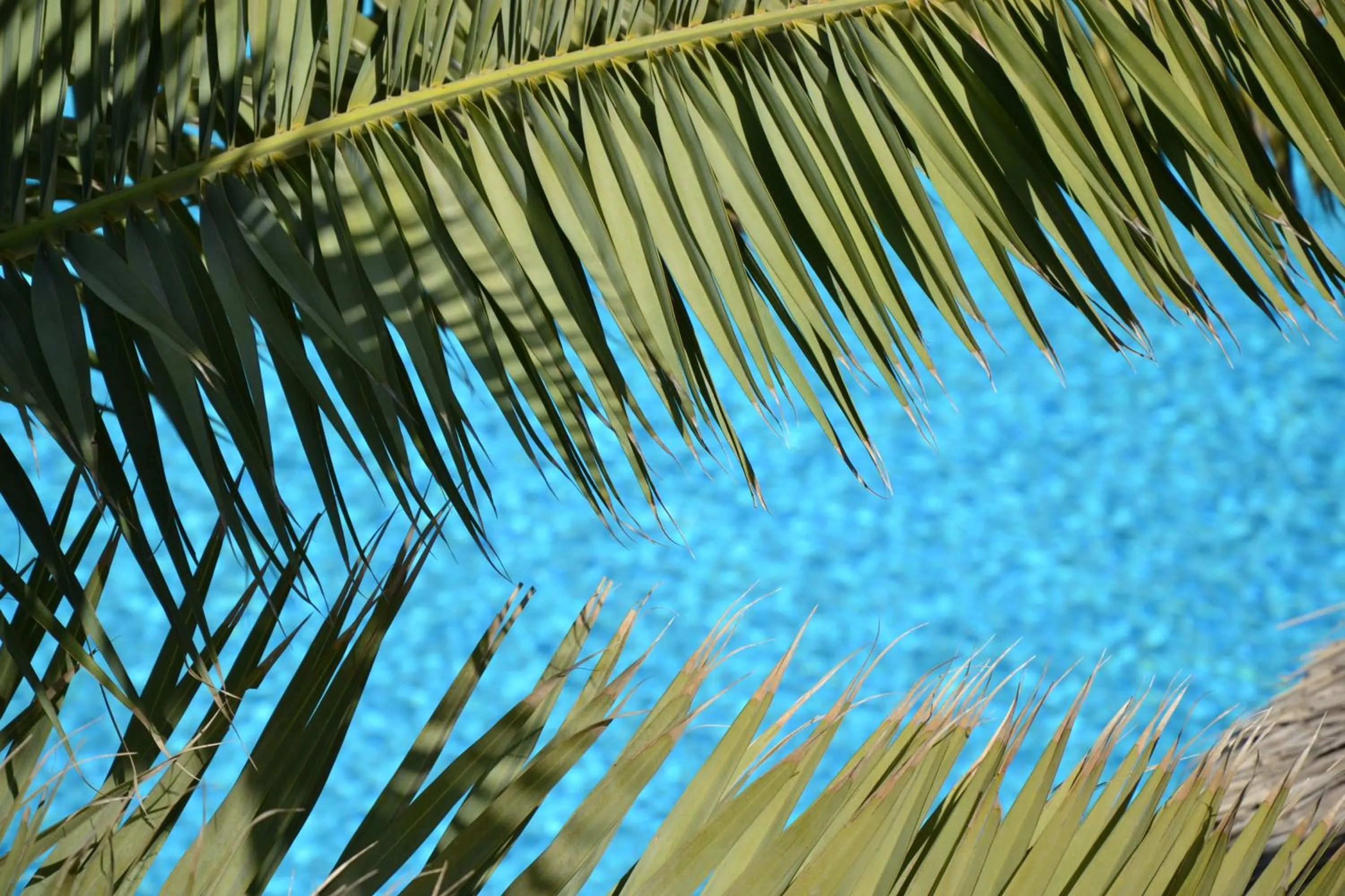 Swimming pool in Zephyros Hotel