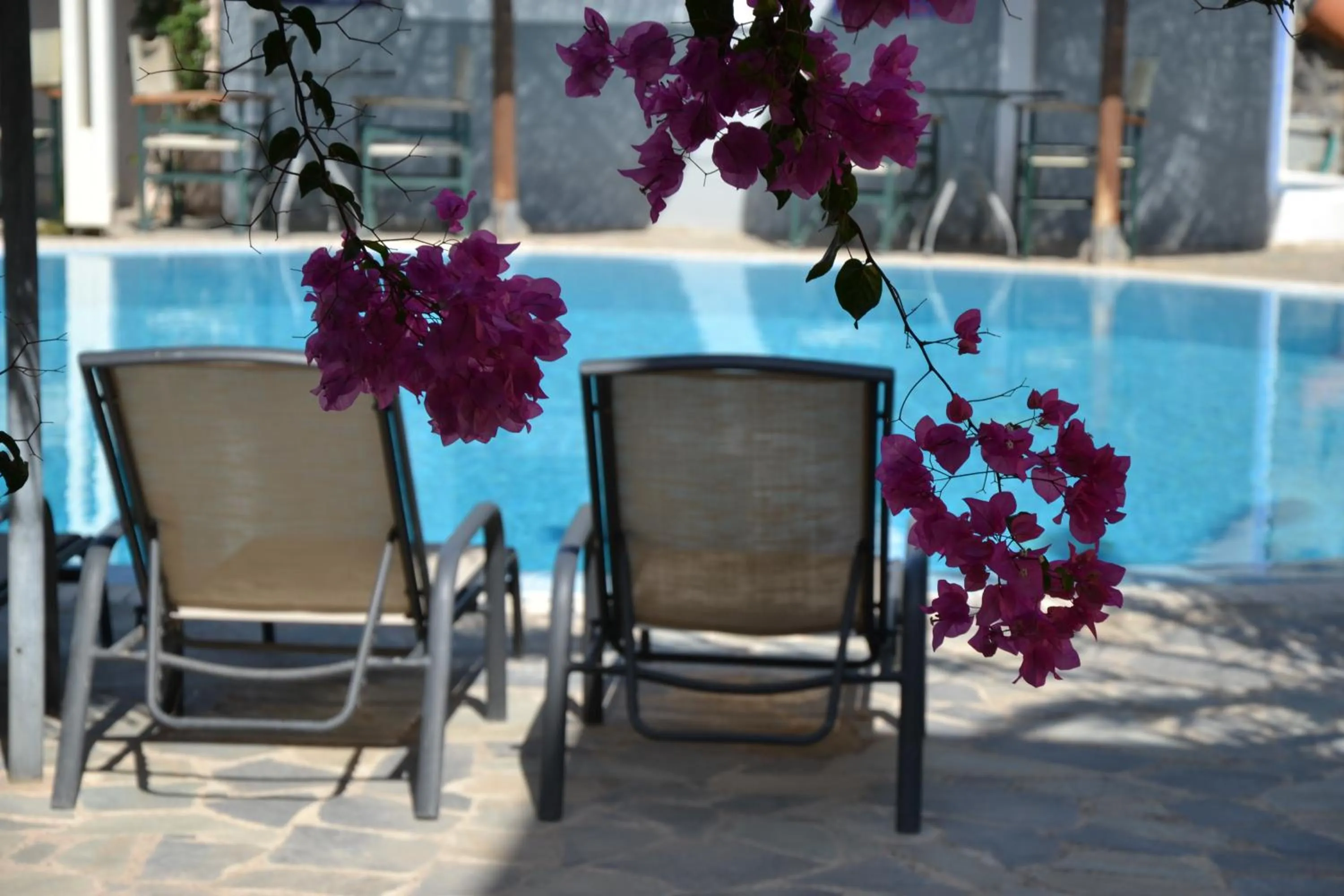 Swimming pool in Zephyros Hotel