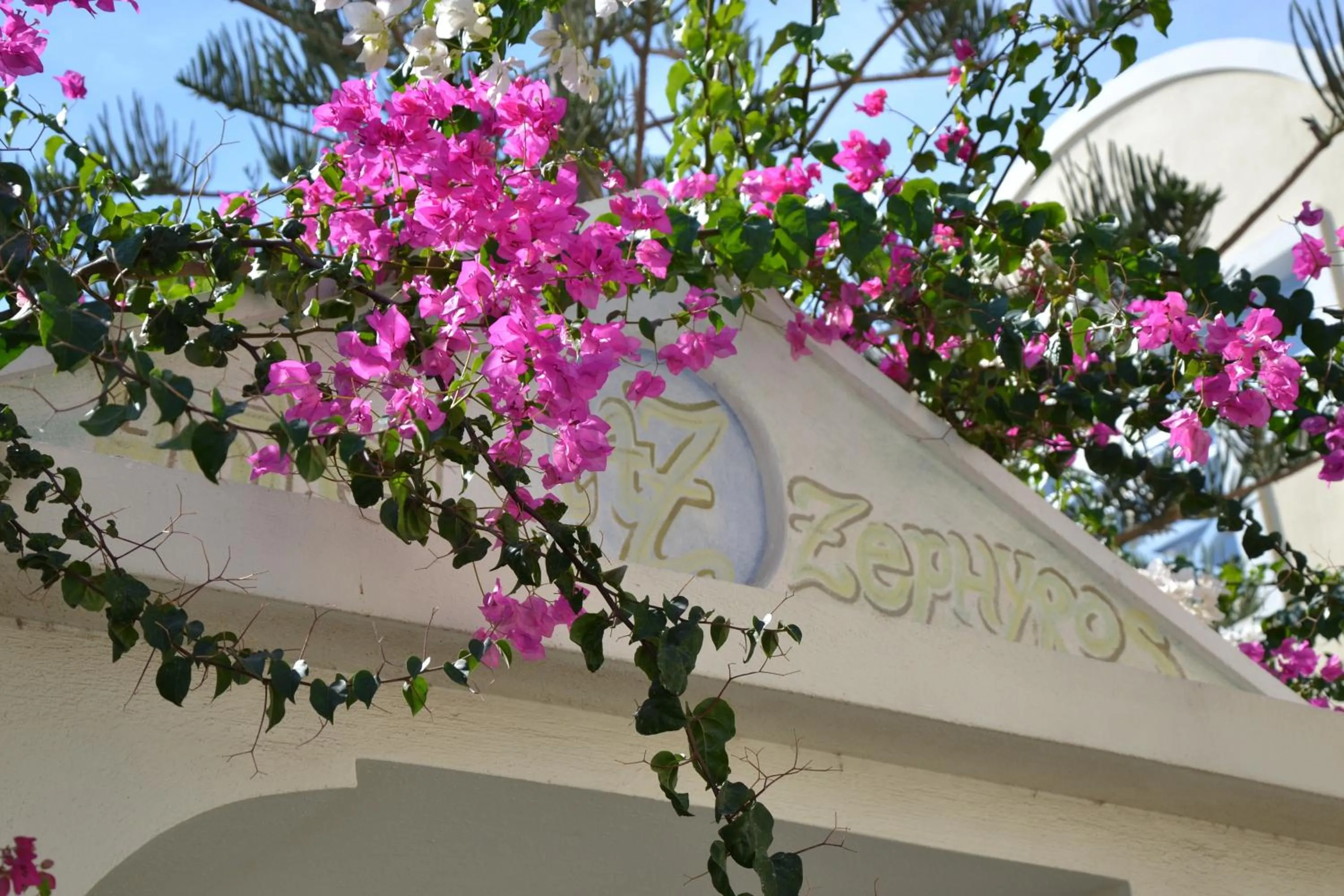 Garden in Zephyros Hotel