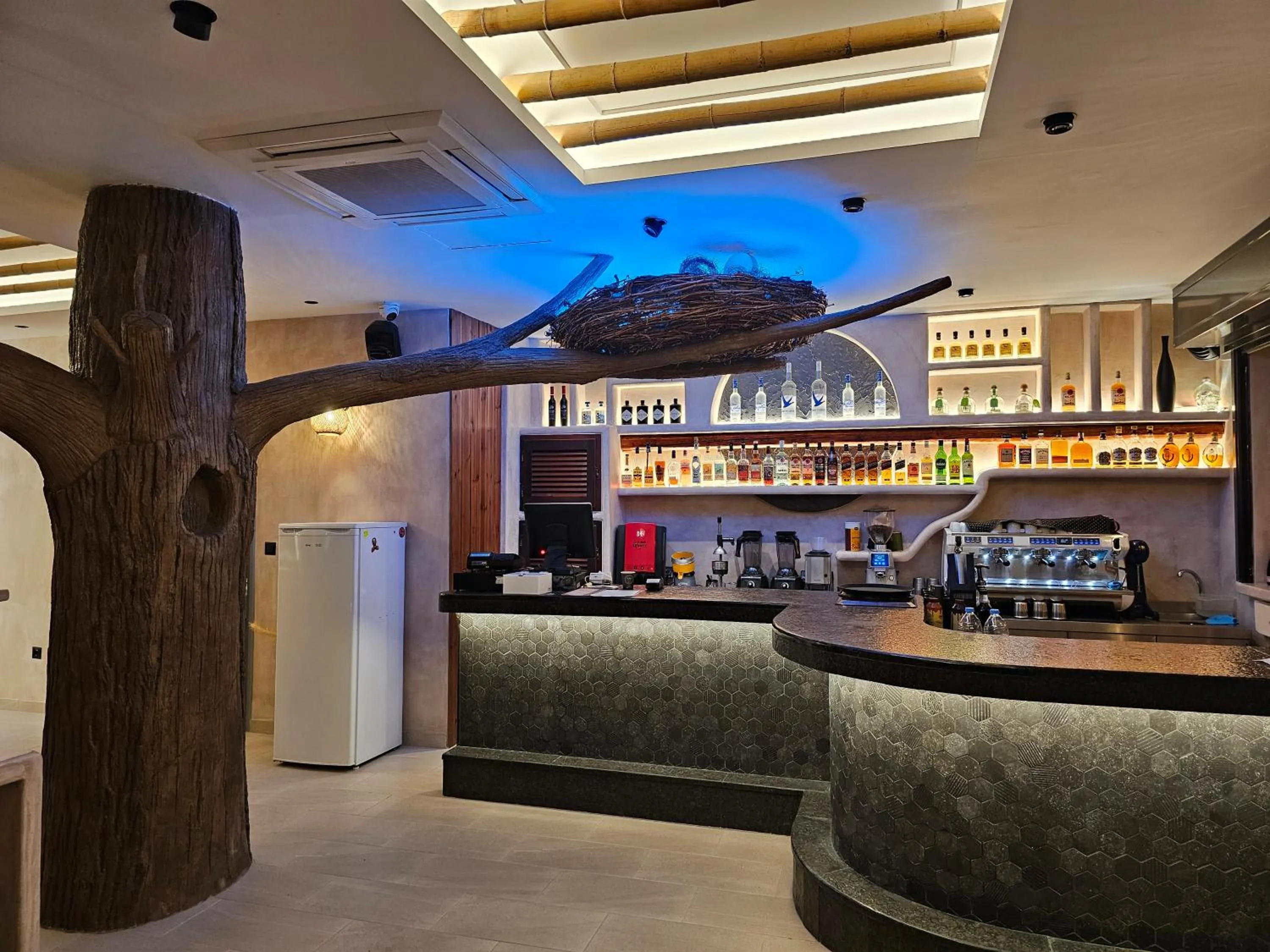 Restaurant/places to eat in Elixir Del Mar on the Beach