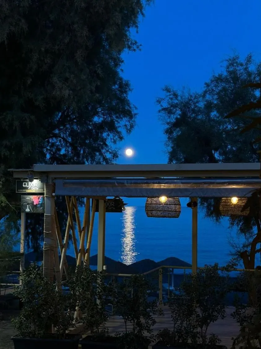 Night in Elixir Del Mar on the Beach