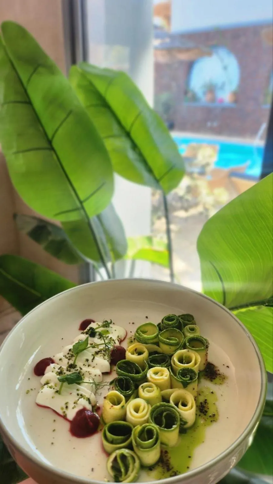 Garden in Elixir Del Mar on the Beach