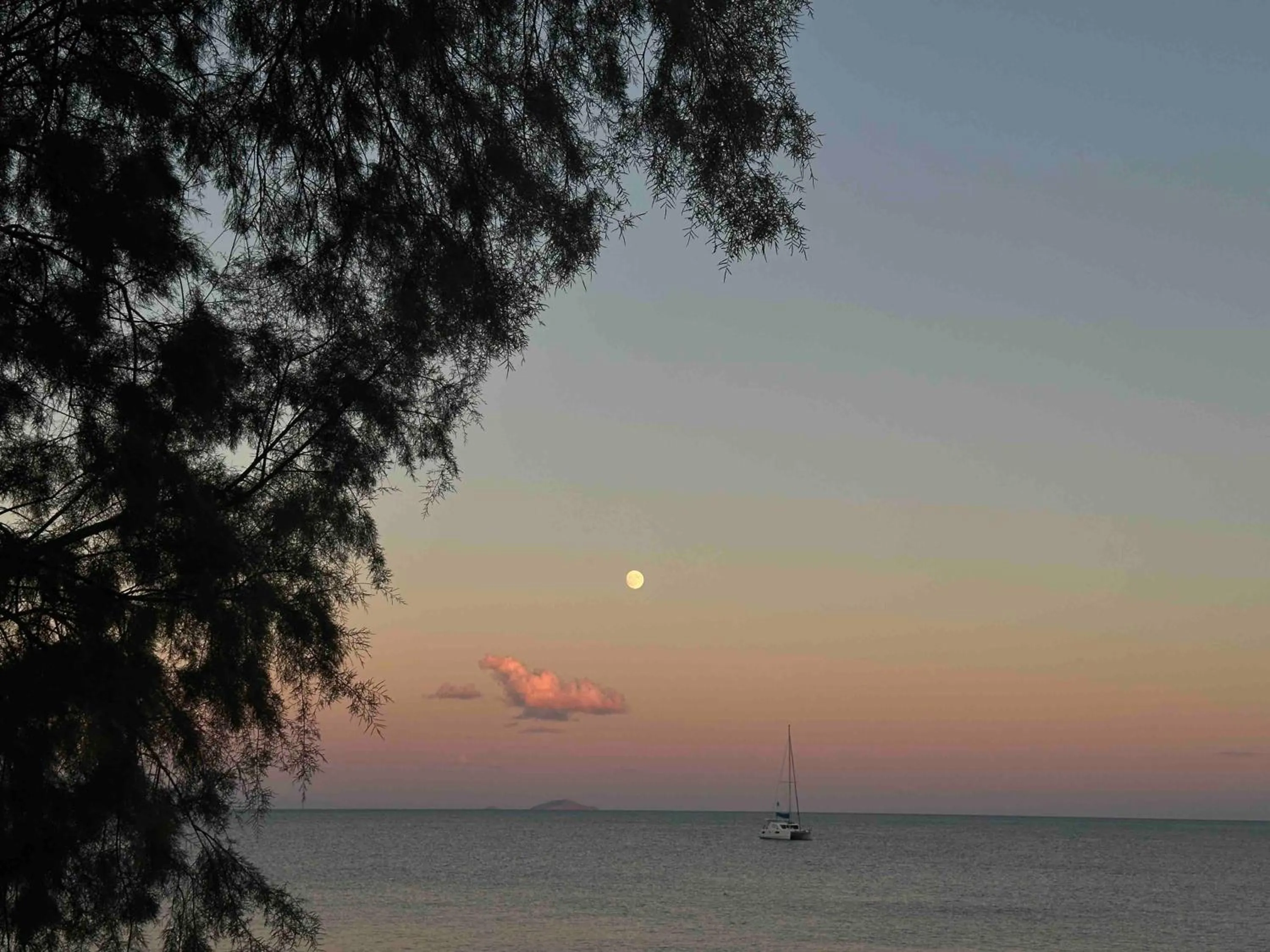 Natural landscape in Elixir Del Mar on the Beach