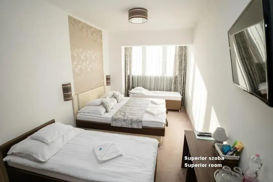 Superior King Room - single occupancy in Hotel Írisz Superior King Room - single occupancy in Hotel Írisz