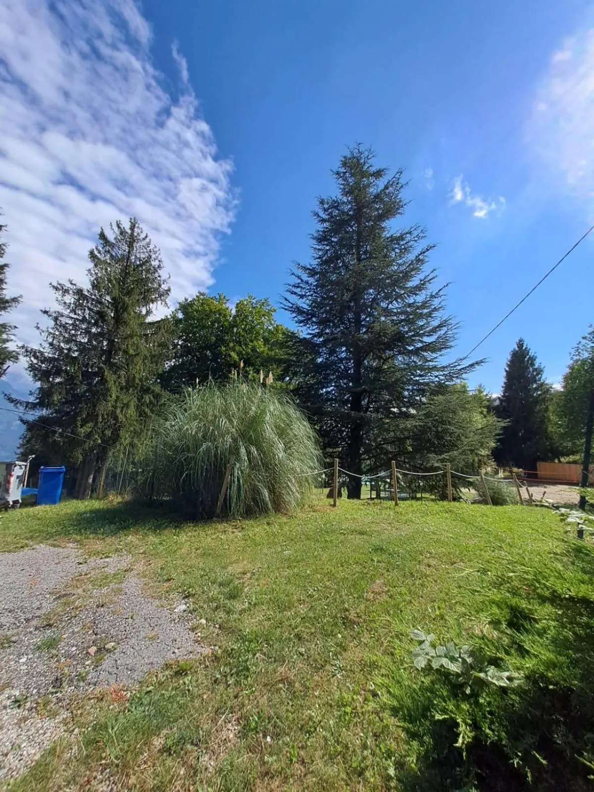 Garden in Hotel Mirabeau