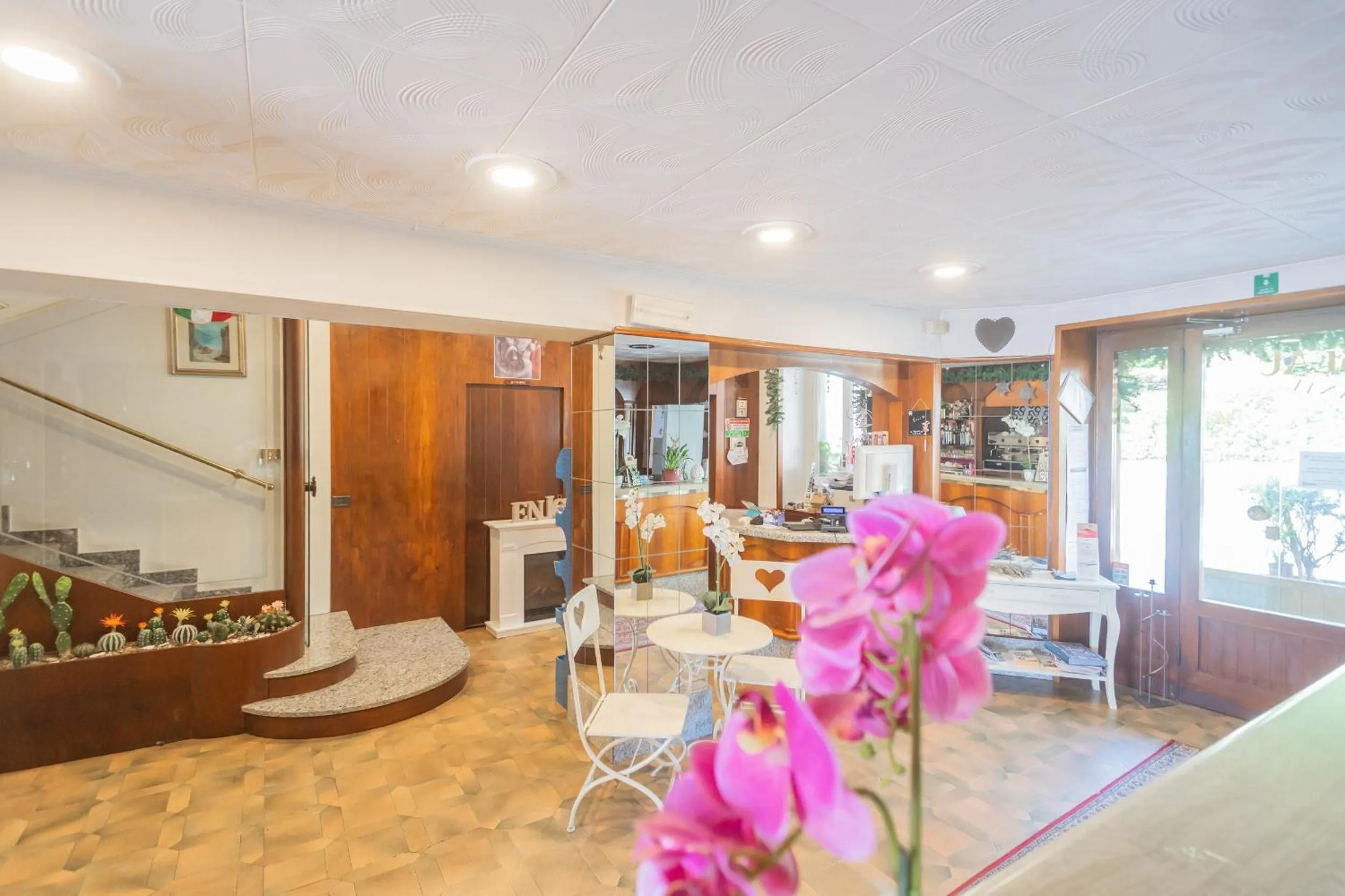 Restaurant/places to eat in Hotel Mirabeau