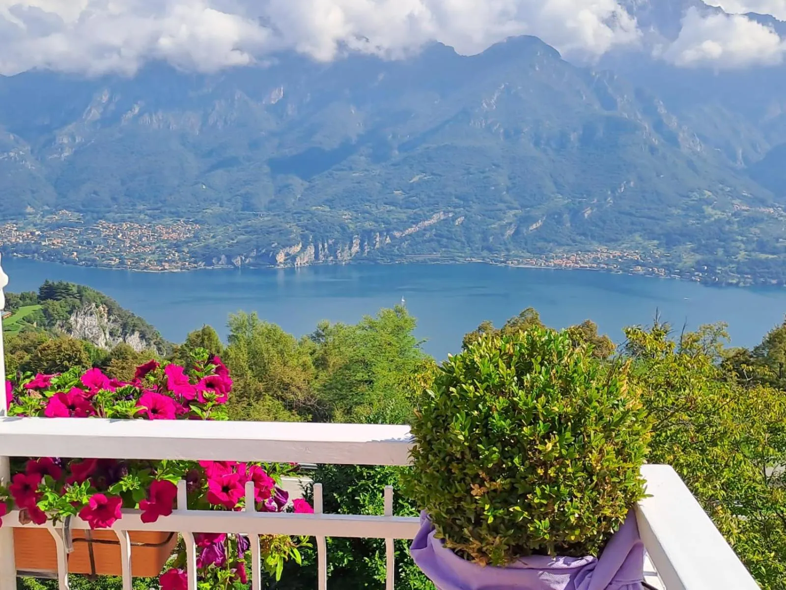 Restaurant/places to eat in Hotel Mirabeau