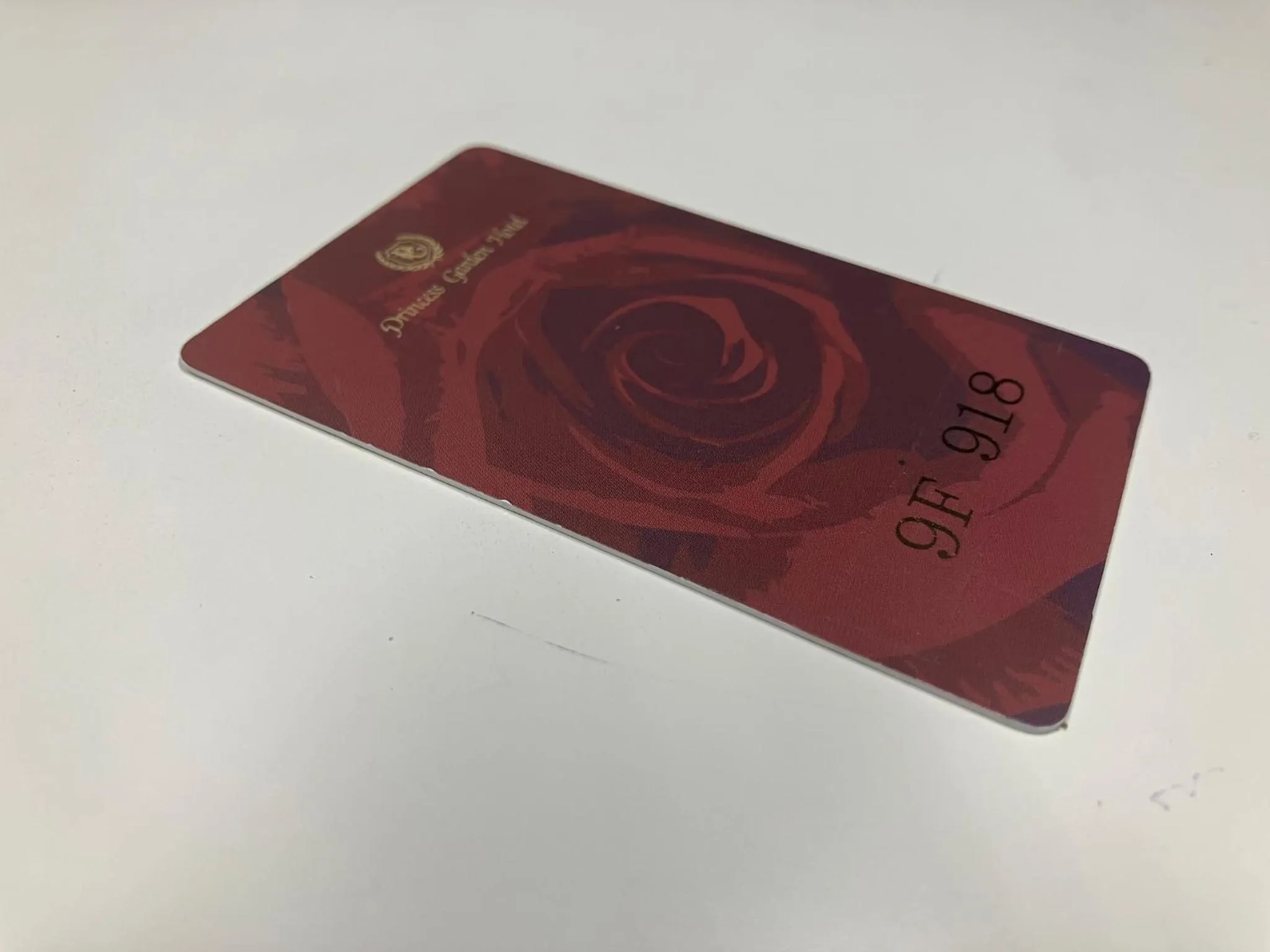 Guests in Princess Garden Hotel