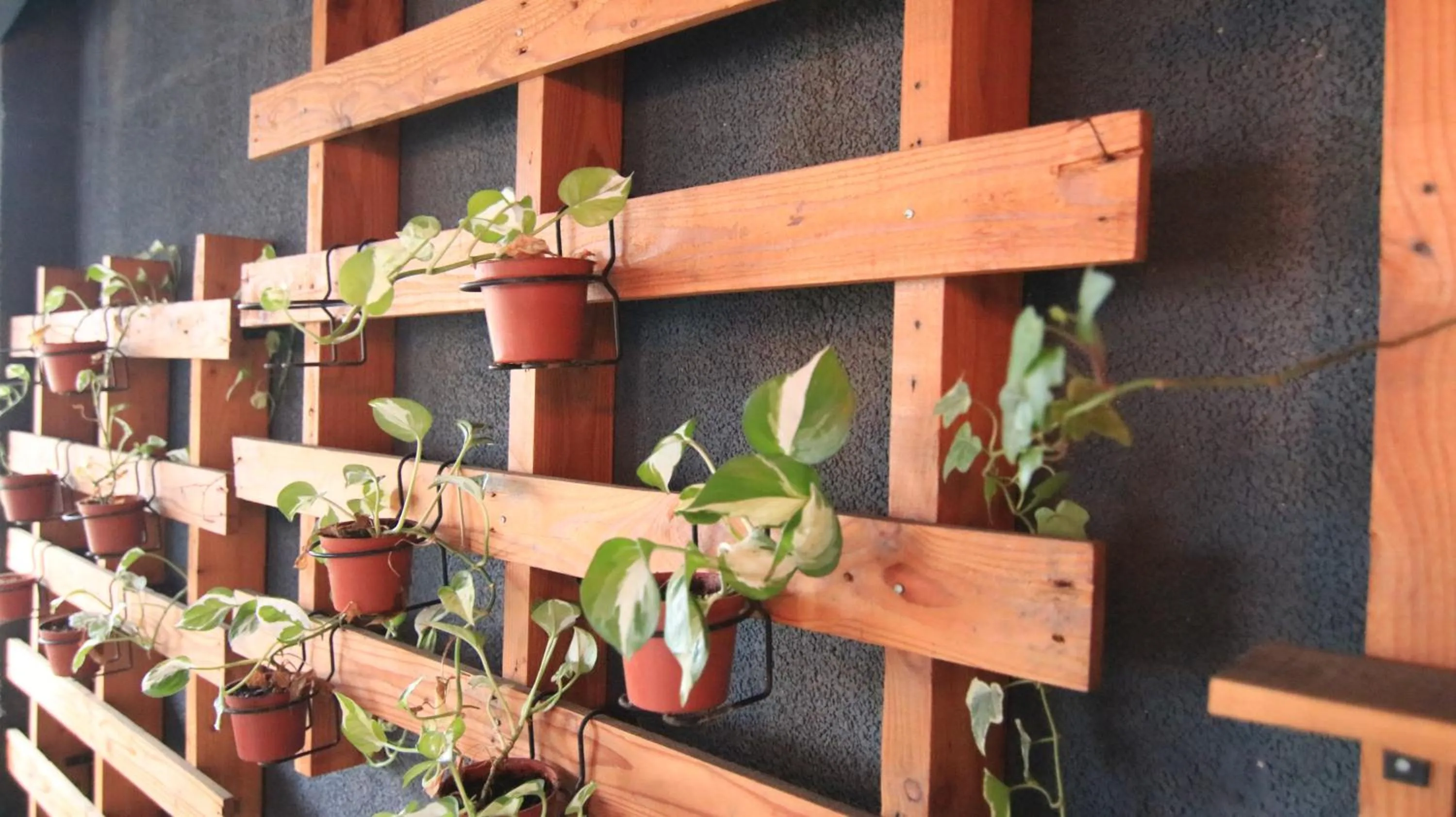 Garden view in DONGMEN 3 Hostel