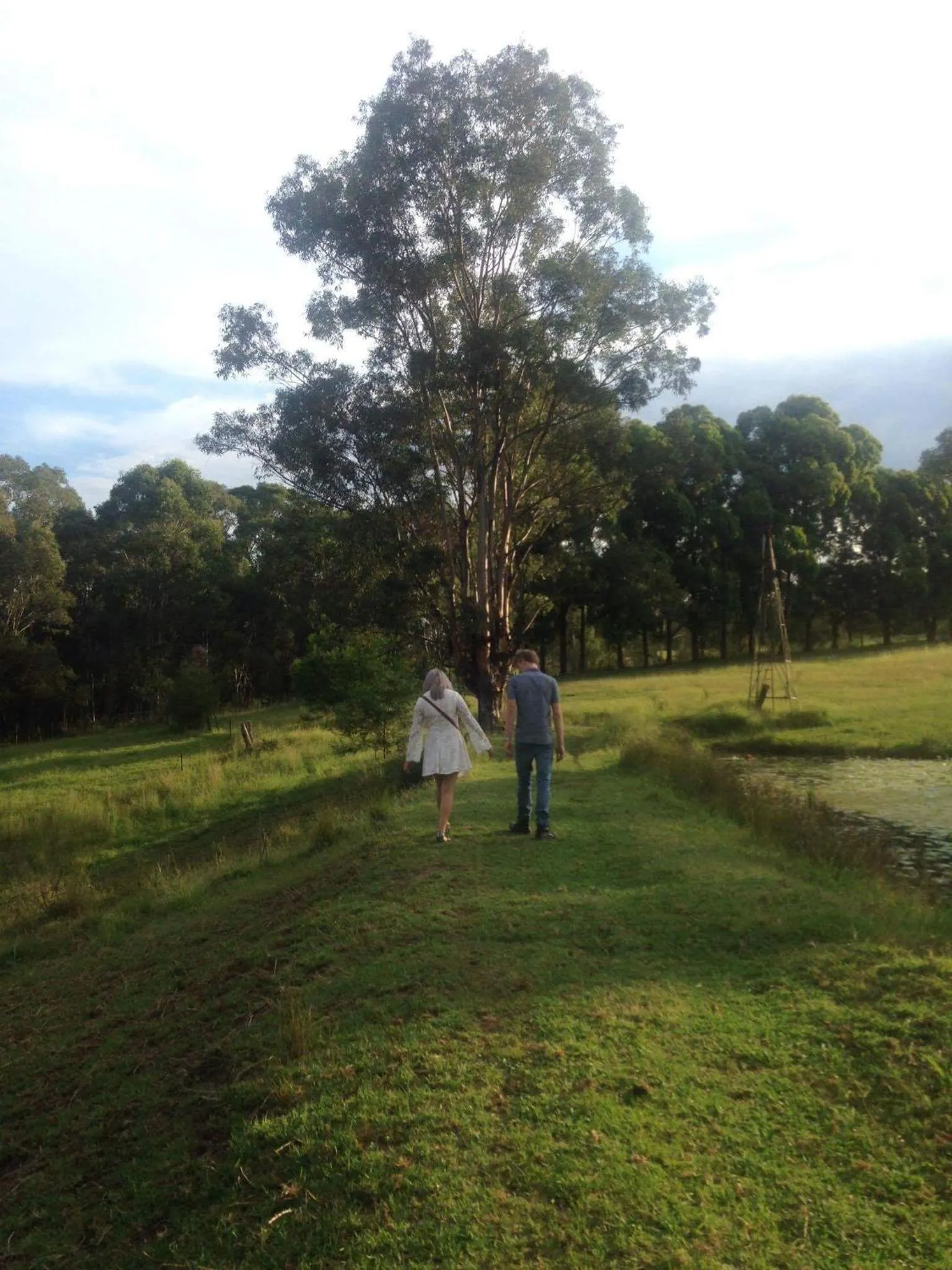 Natural landscape in Blueberry Hills On Comleroy Farmstay - Self-Contained Cottages