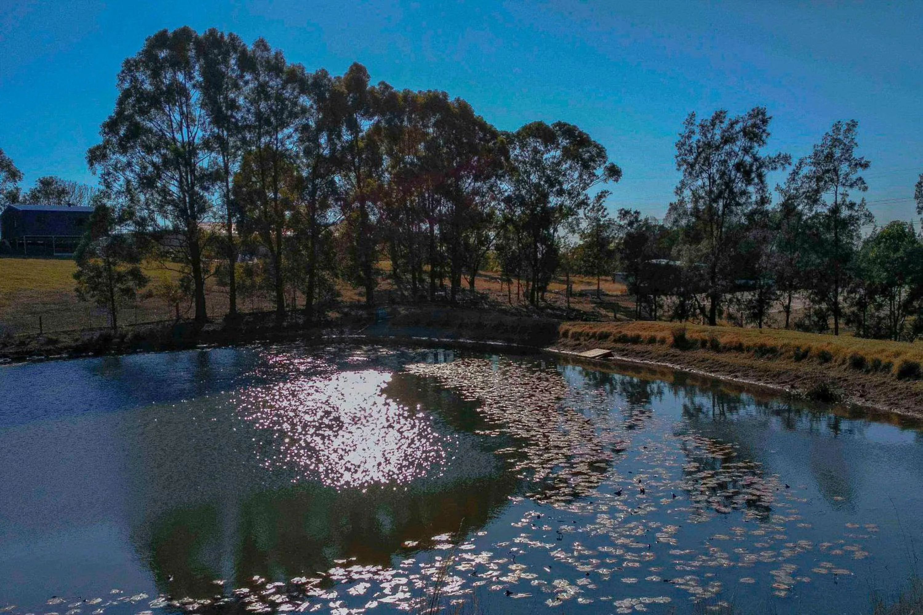 Natural landscape in Blueberry Hills On Comleroy Farmstay - Self-Contained Cottages