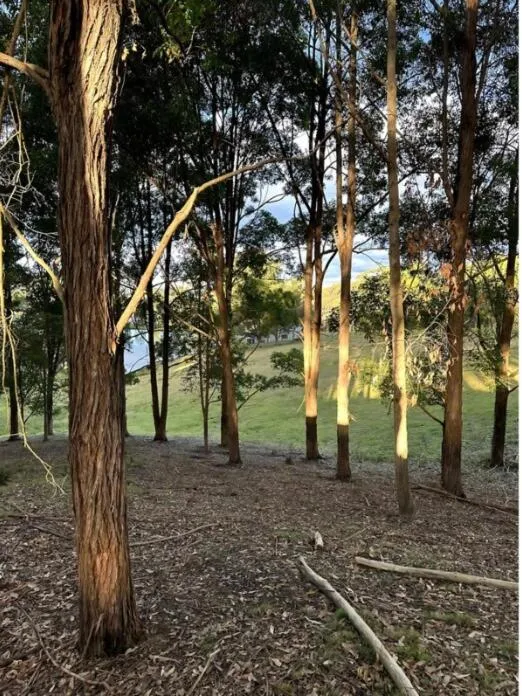Blueberry Hills On Comleroy Farmstay - Self-Contained Cottages