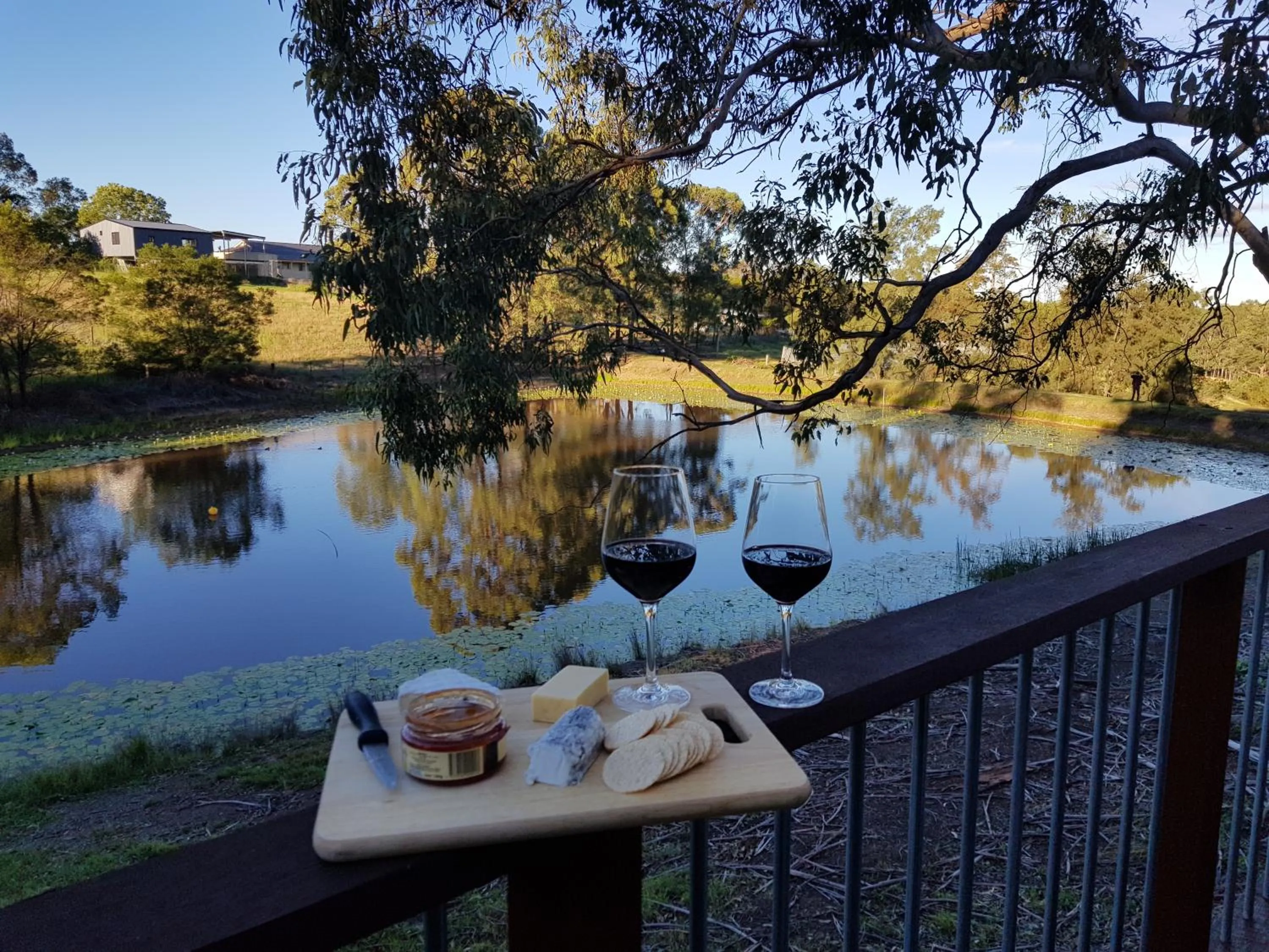Garden in Blueberry Hills On Comleroy Farmstay - Self-Contained Cottages