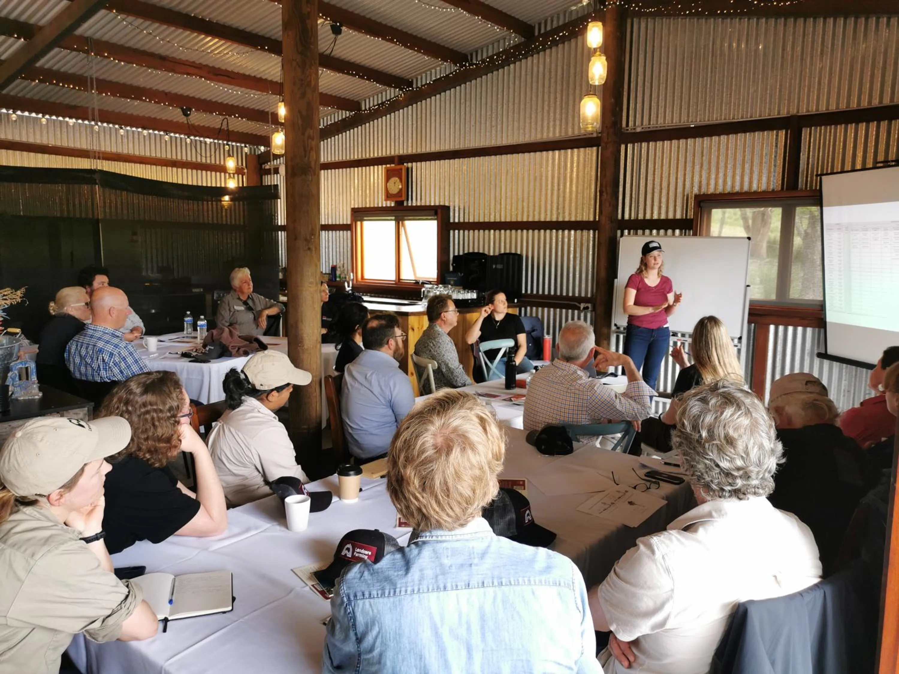 Meeting/conference room in Blueberry Hills On Comleroy Farmstay - Self-Contained Cottages