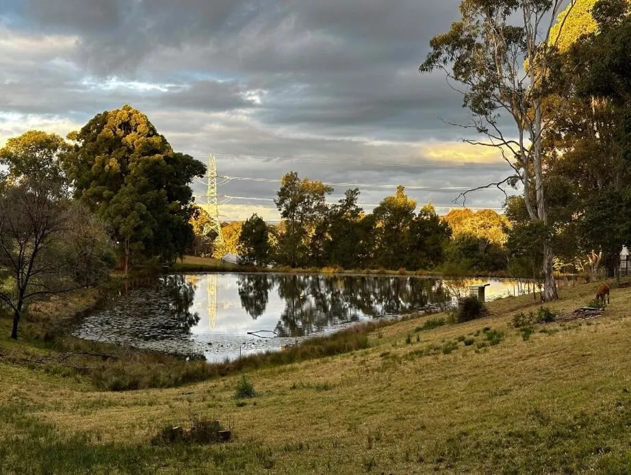 Blueberry Hills On Comleroy Farmstay - Self-Contained Cottages