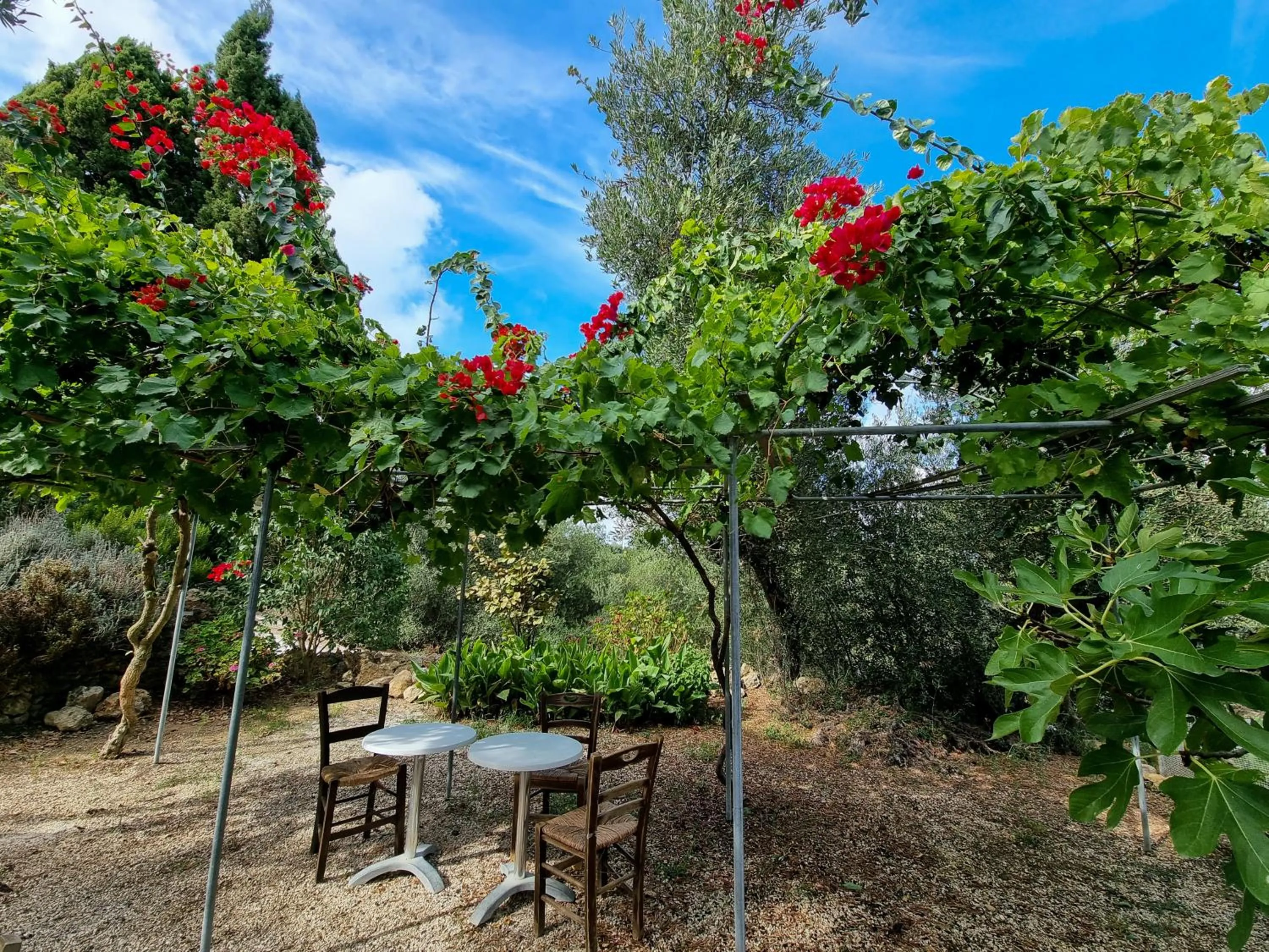 Day in Forestata Village