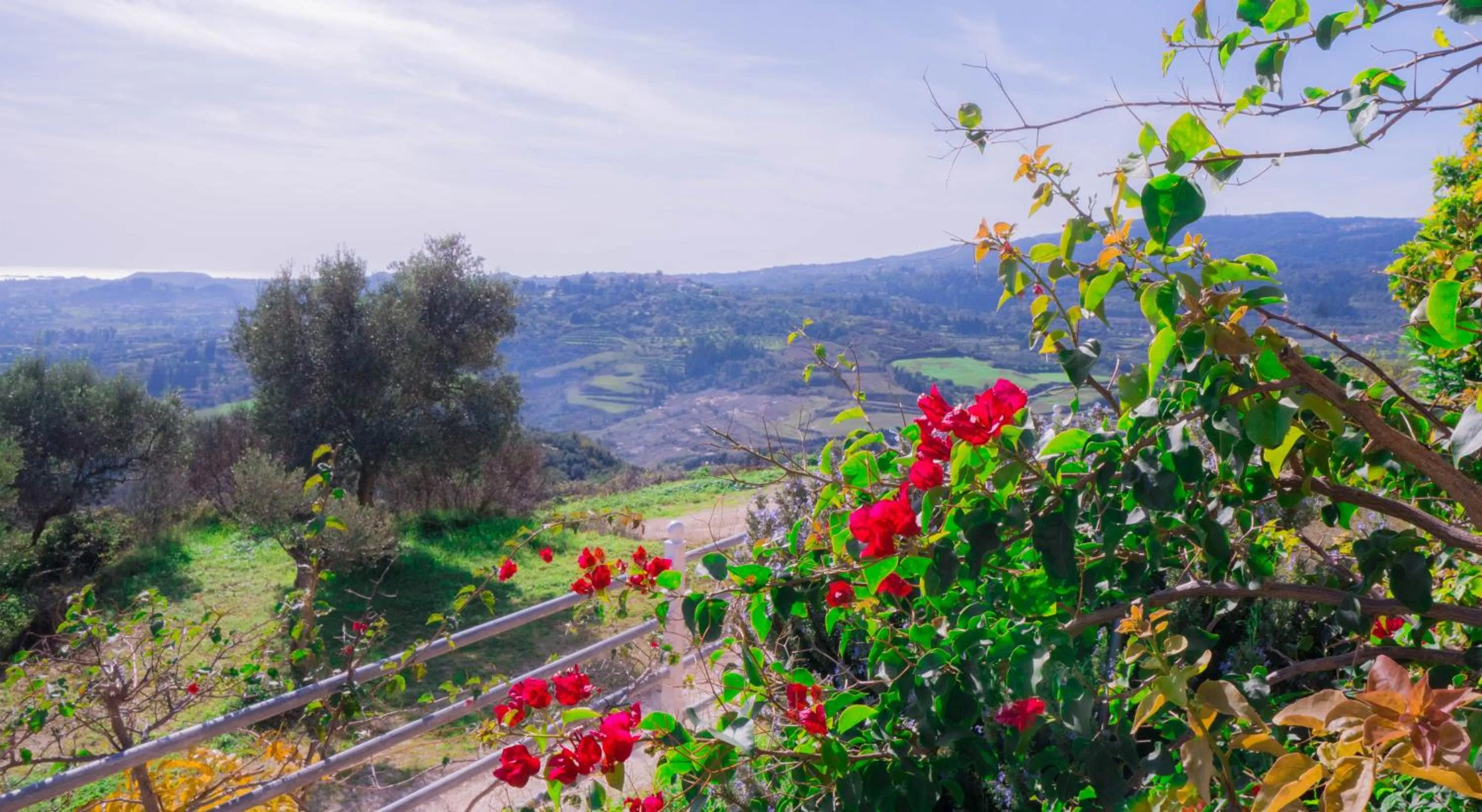 Natural landscape in Forestata Village