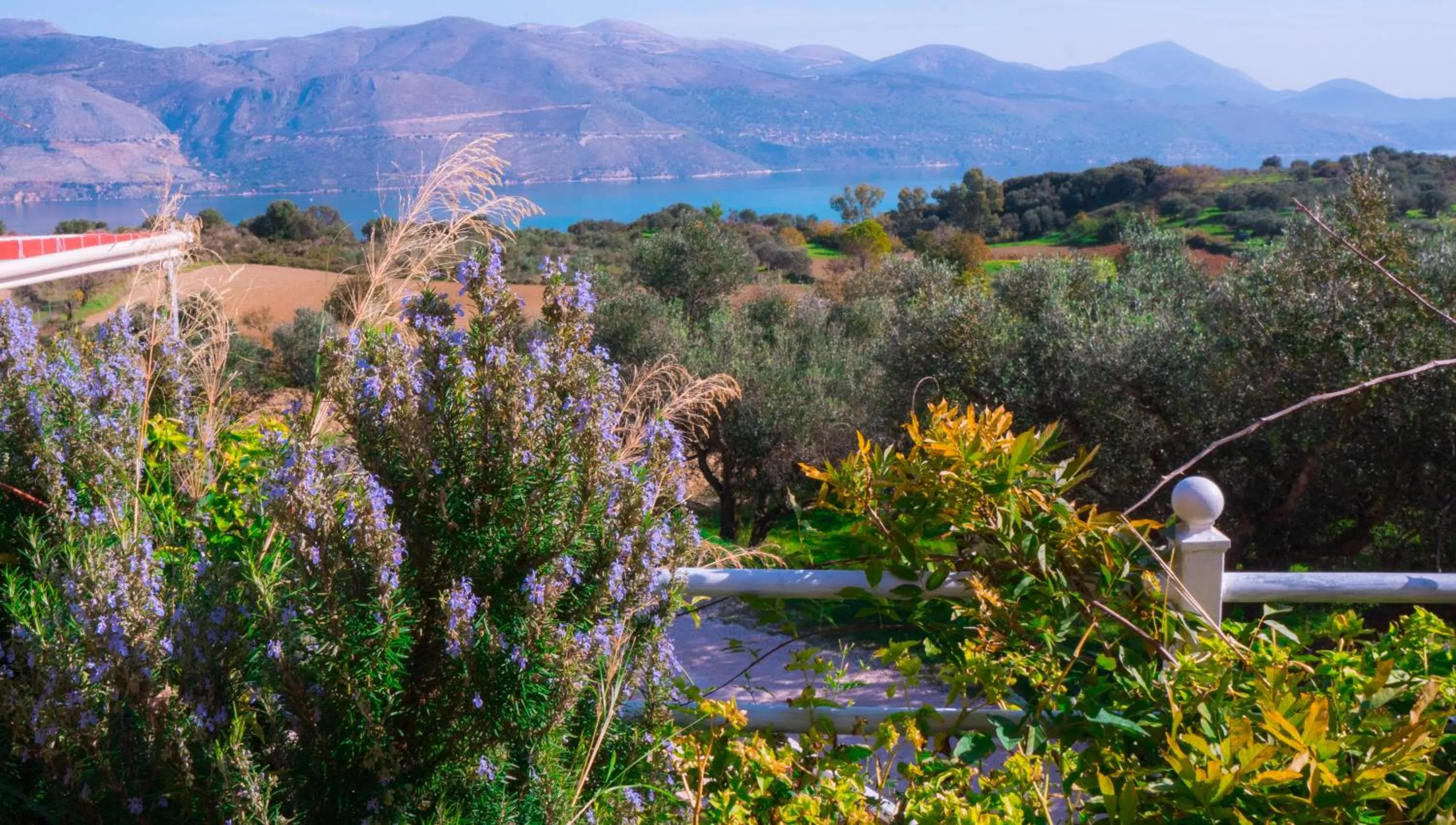Natural landscape in Forestata Village