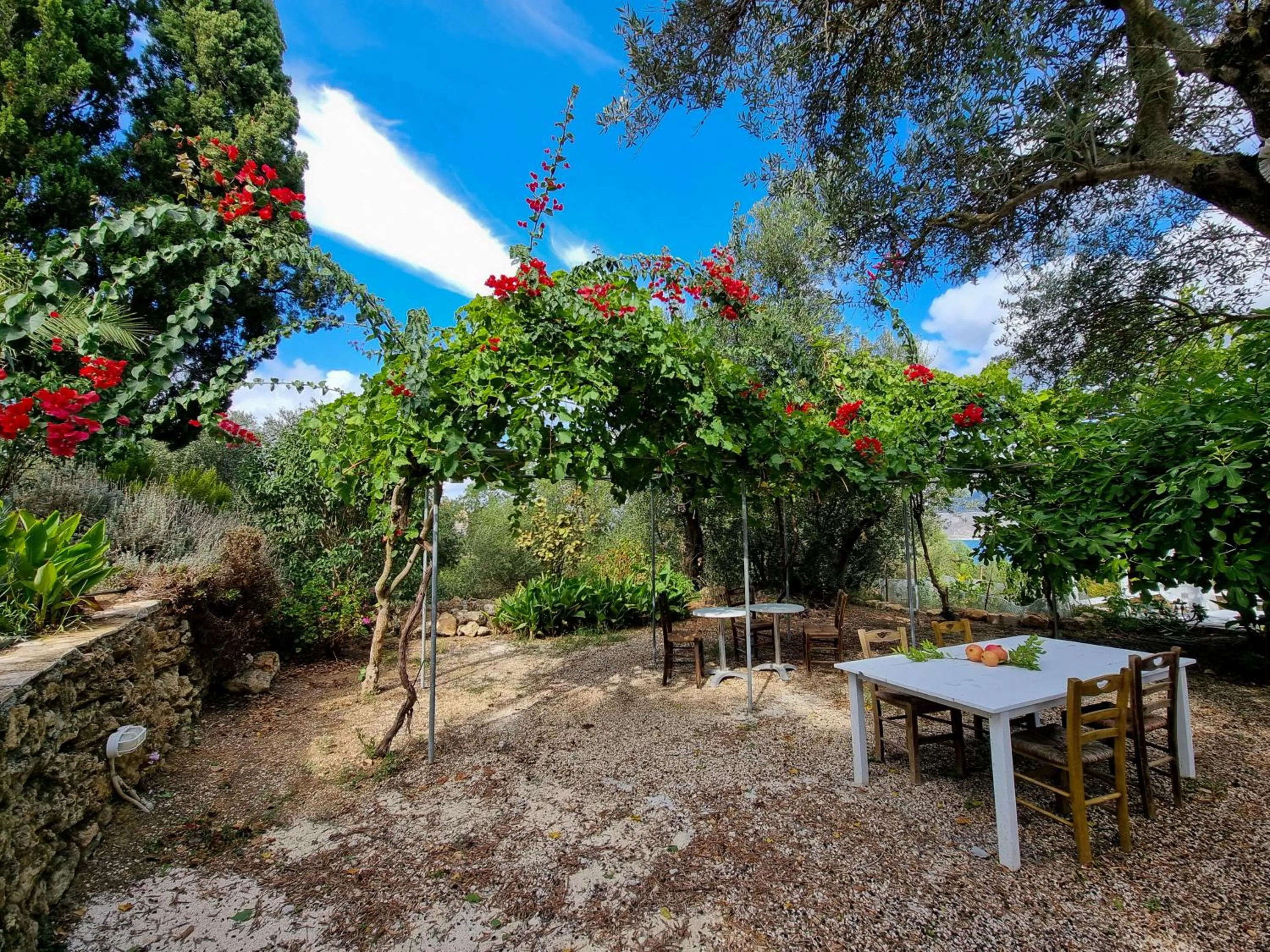 Day in Forestata Village