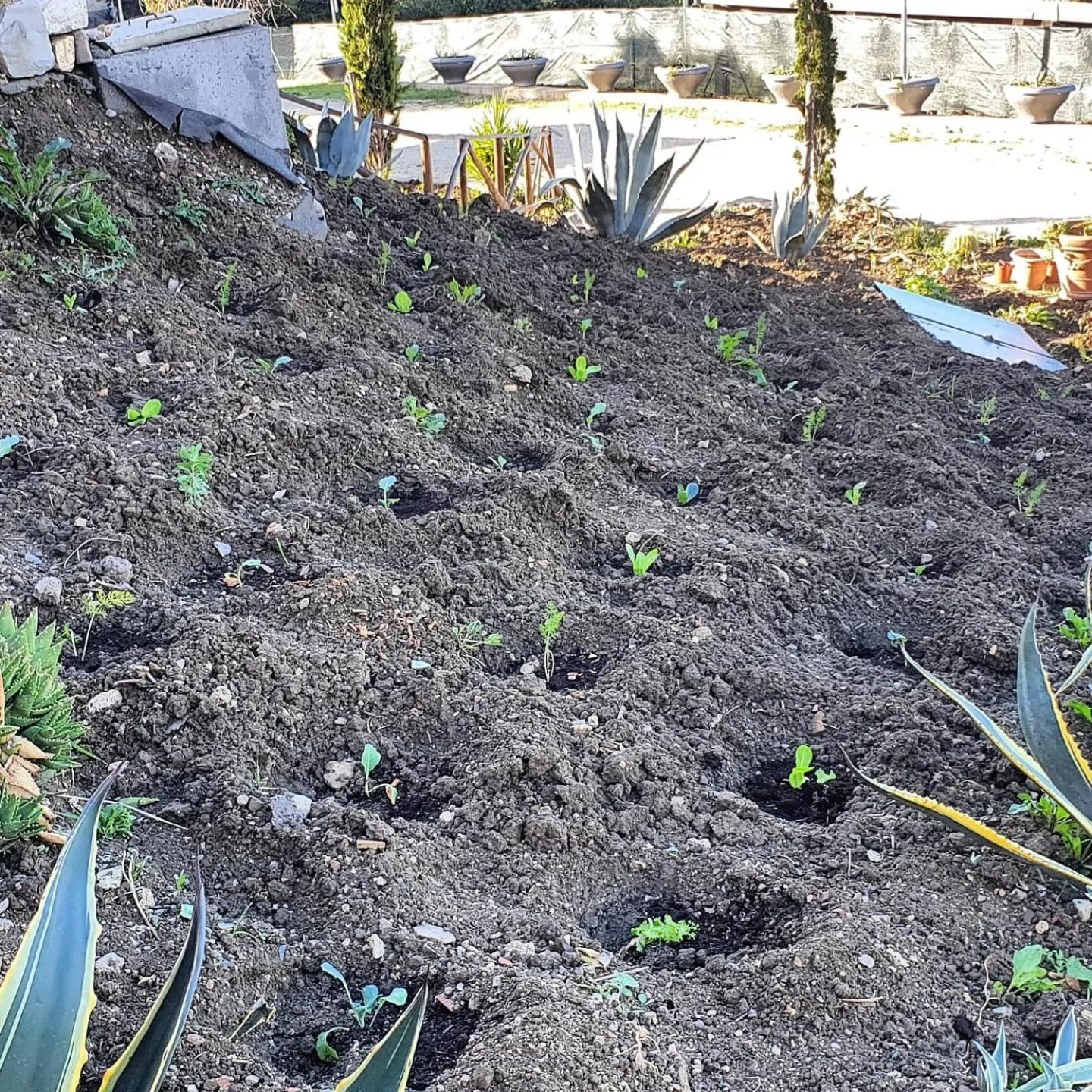 Resort San Nicola - Restaurant and Wellness Fitness