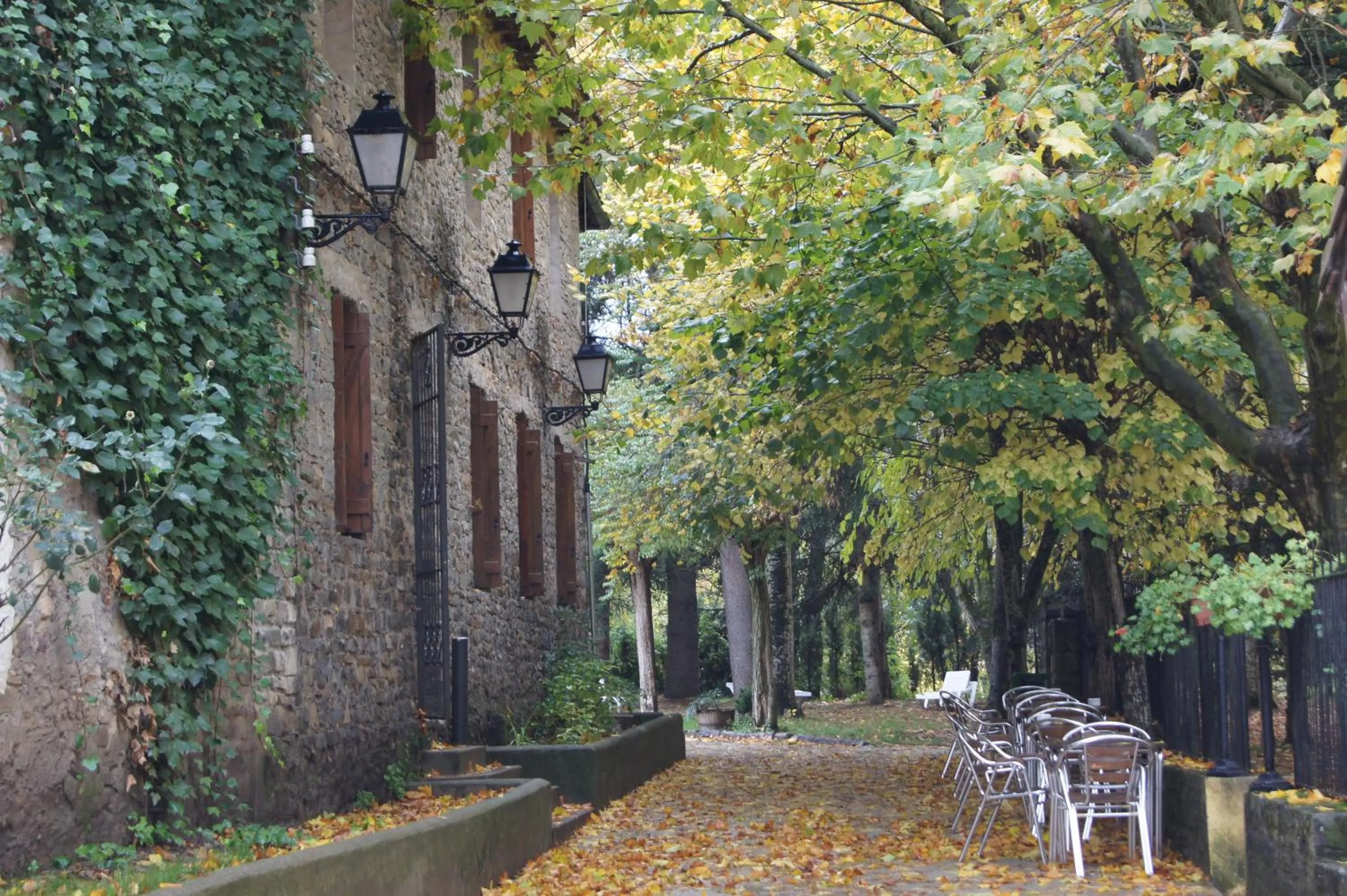 Balcony/Terrace in Hotel Charle