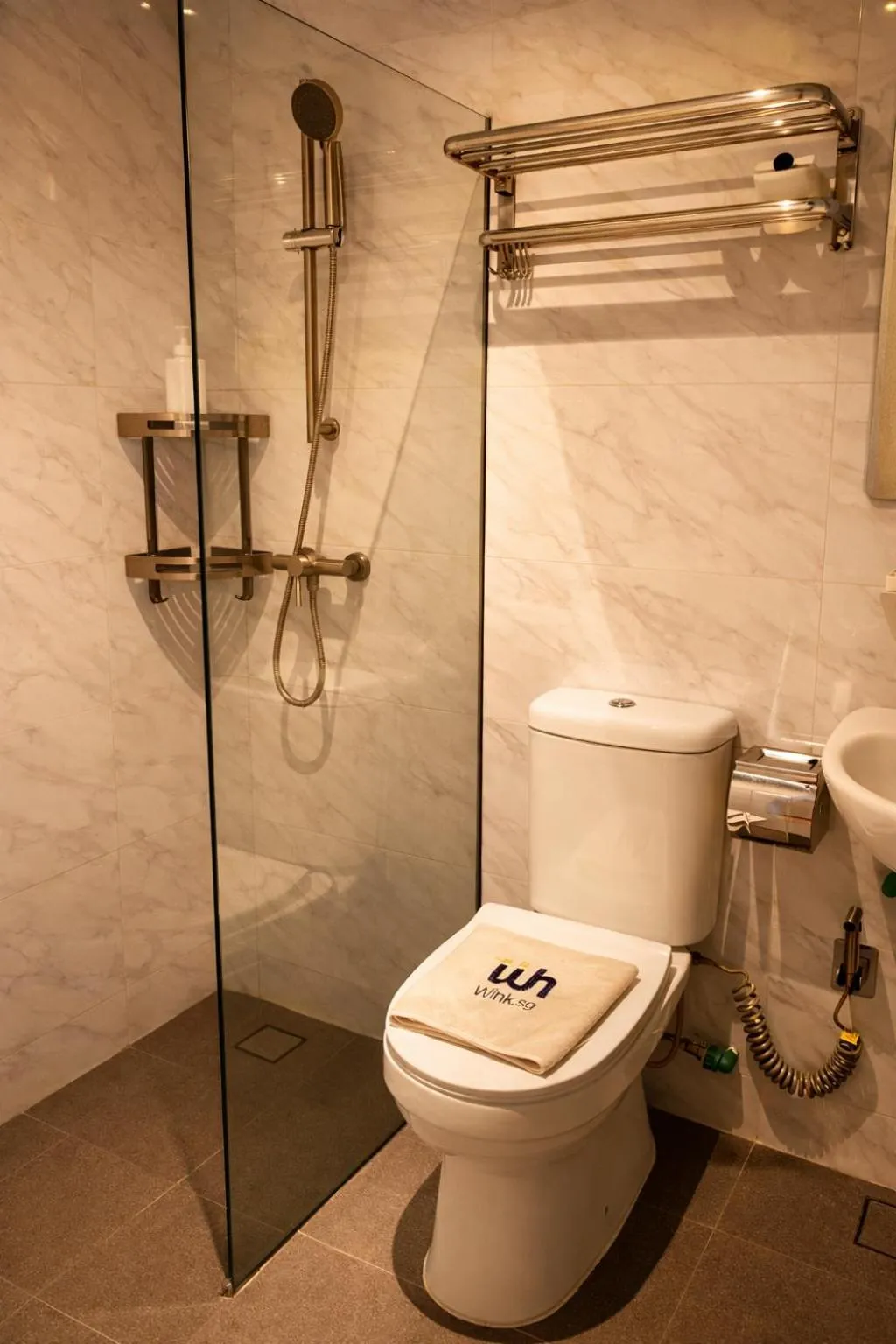 Toilet in Wink at Upper Cross Street