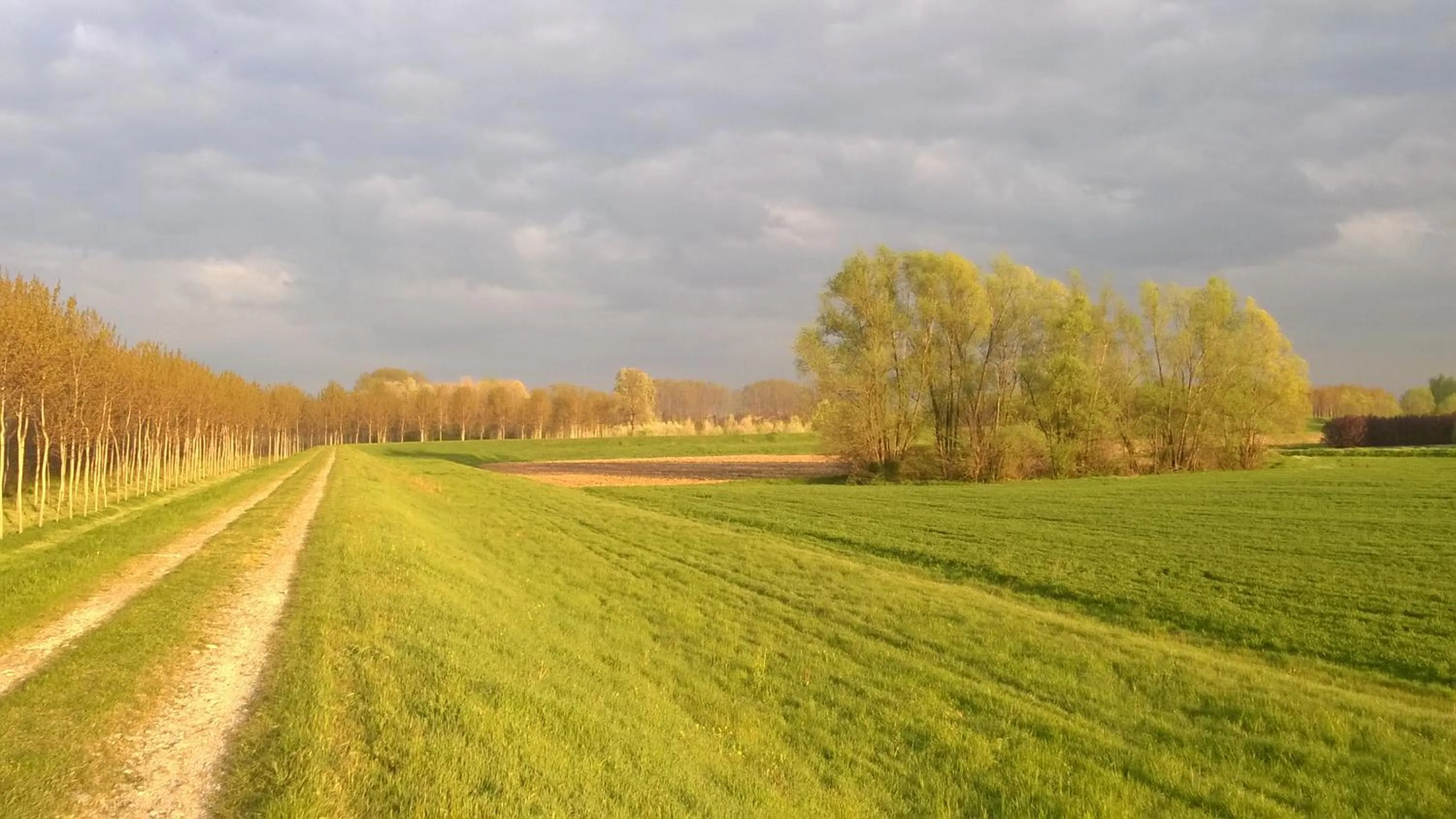Spring in La Casa nel Borgo