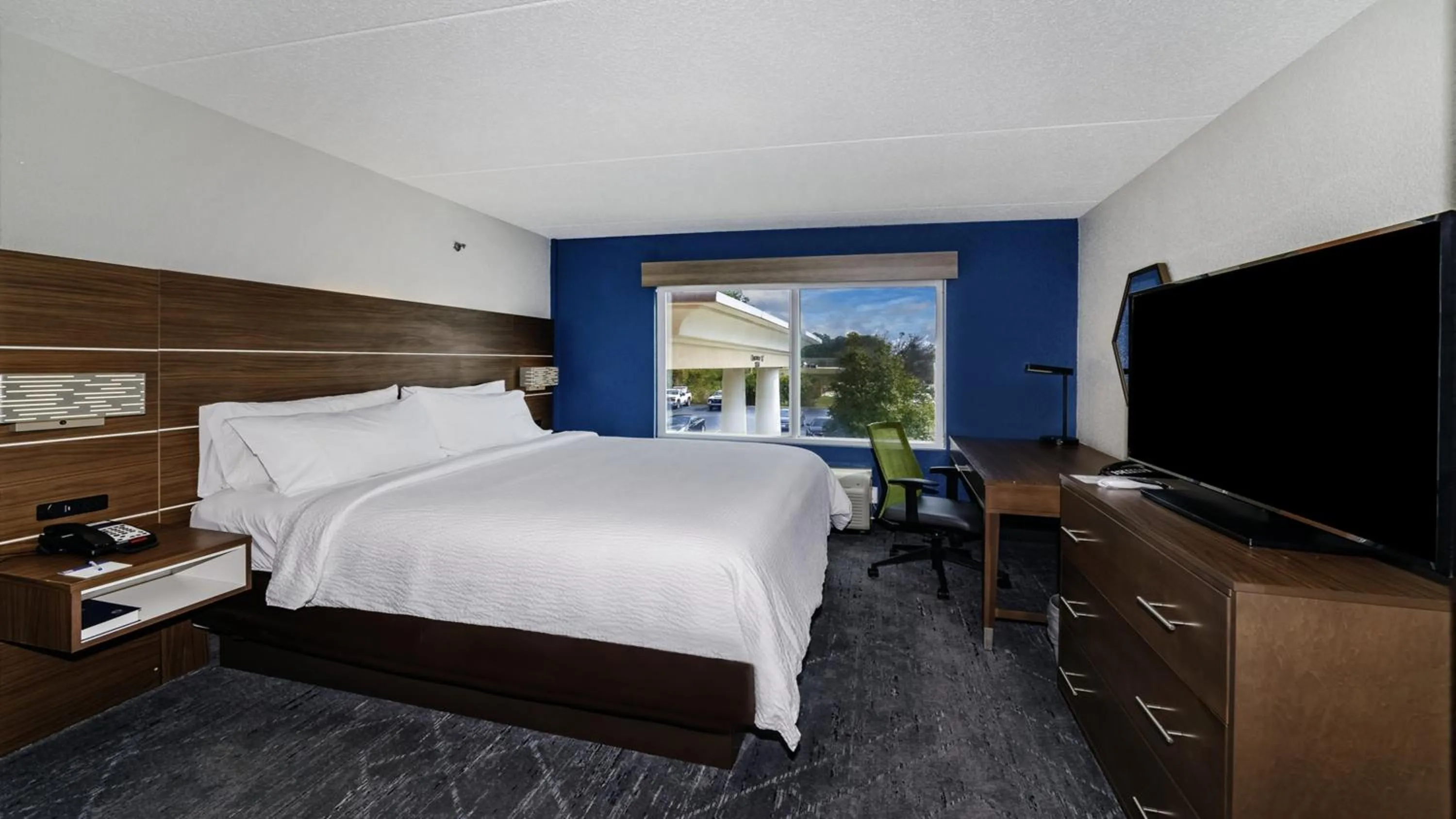 Photo of the whole room, Bed in Holiday Inn Express & Suites Walterboro by IHG