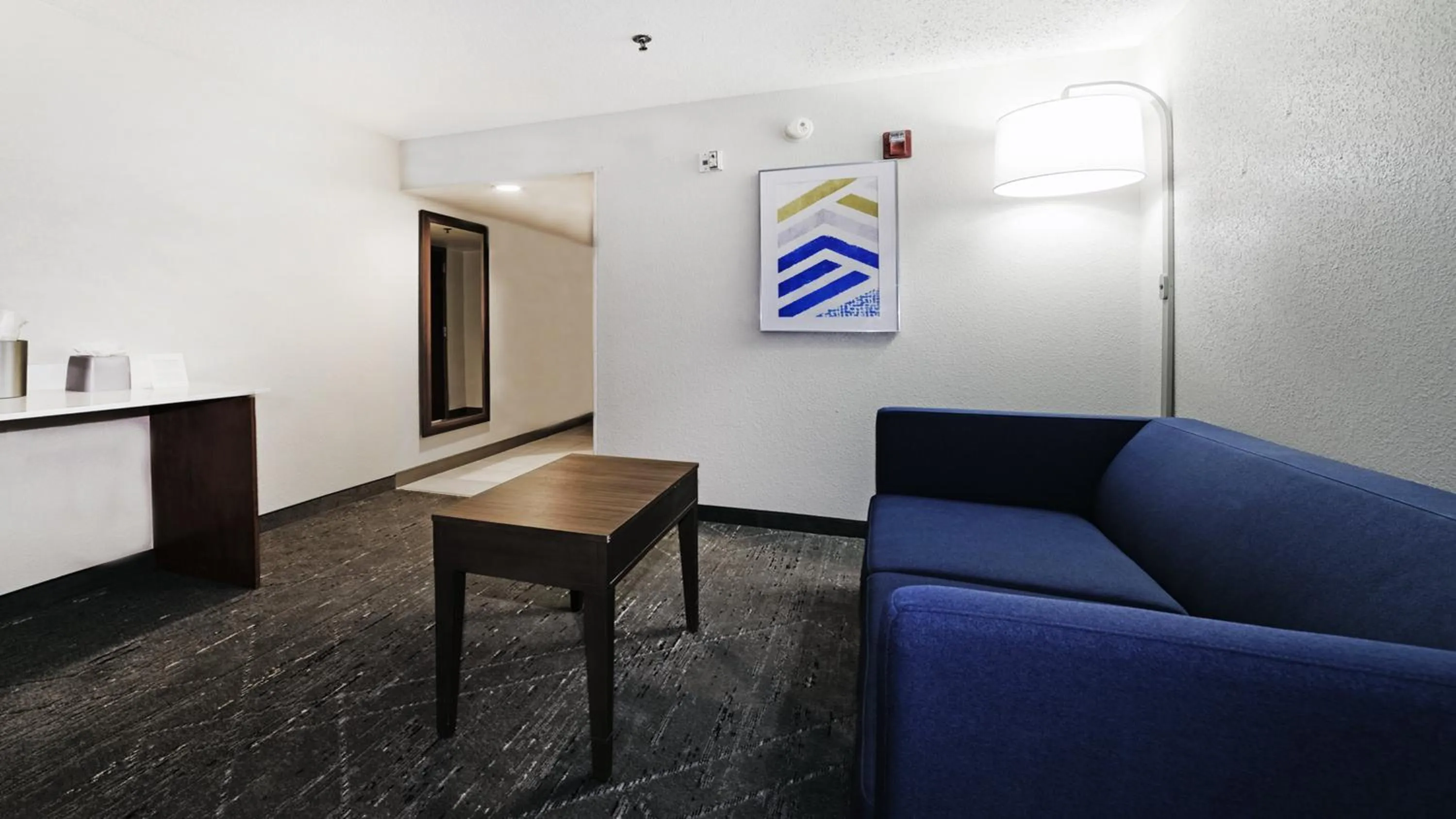 Photo of the whole room in Holiday Inn Express & Suites Walterboro by IHG