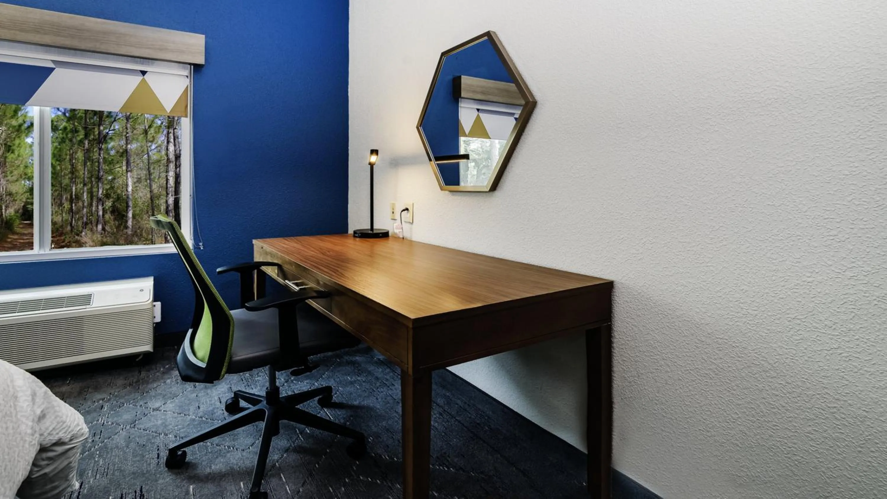 Photo of the whole room in Holiday Inn Express & Suites Walterboro by IHG