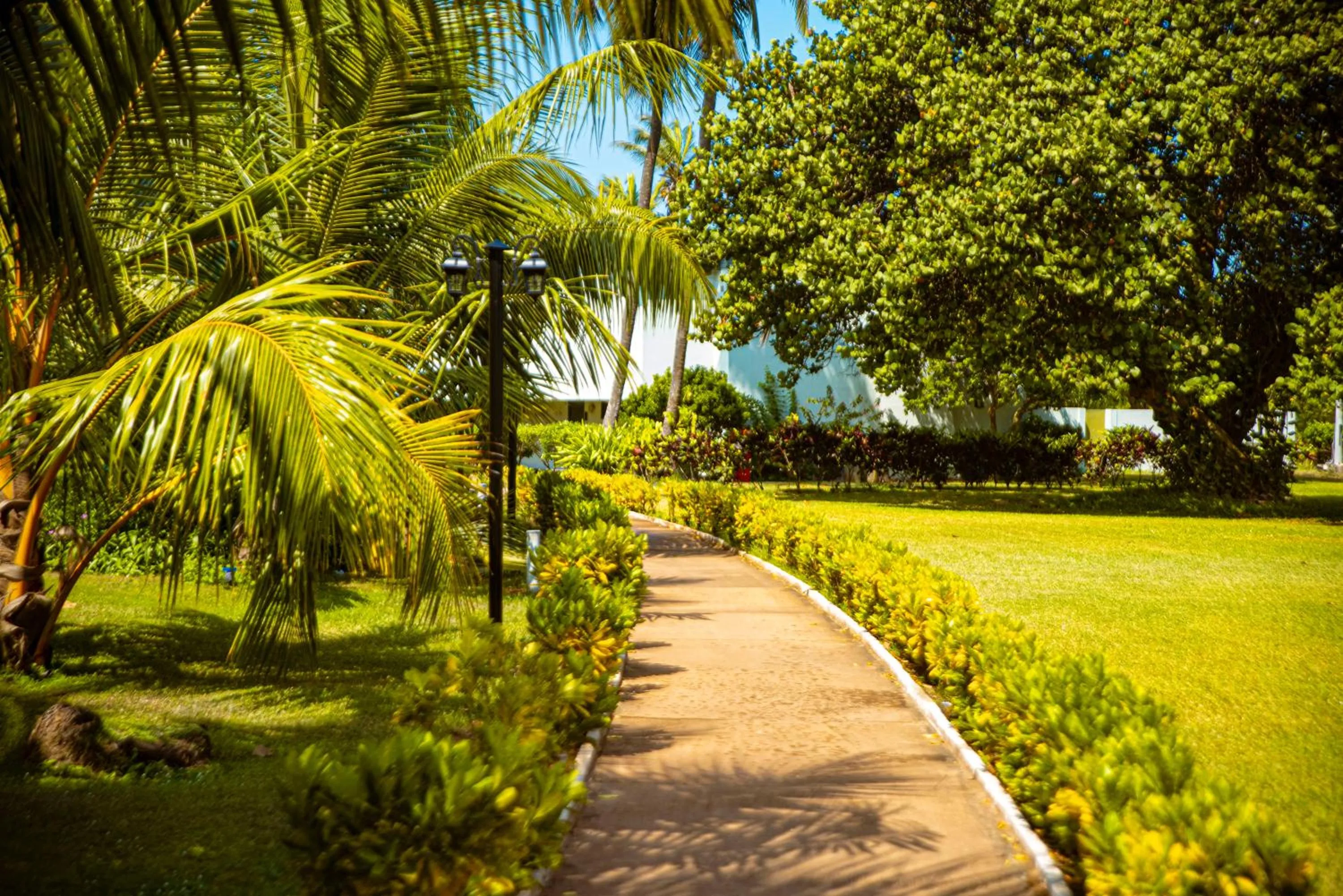 Spring in Hôtel Sarakawa