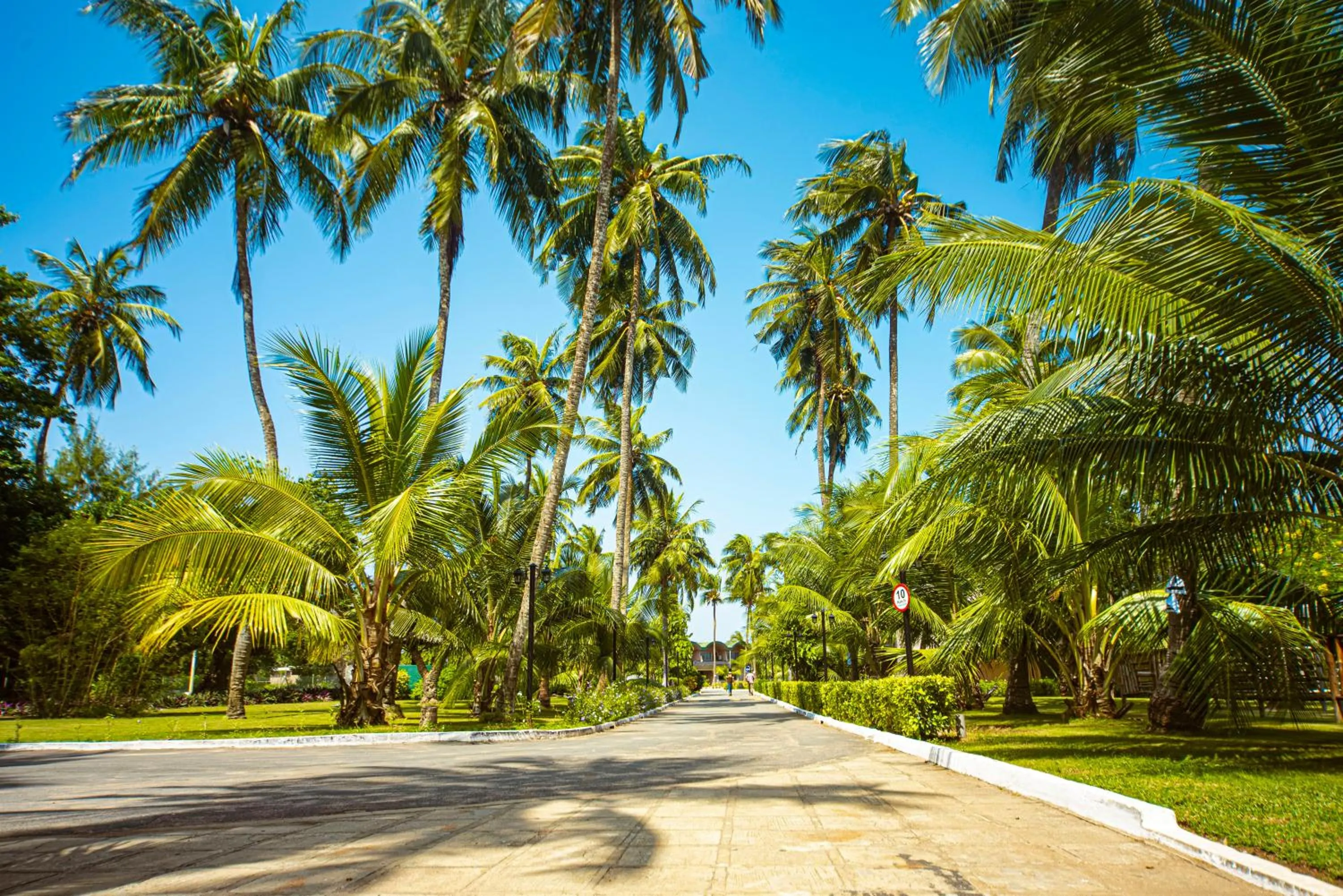 Day in Hôtel Sarakawa