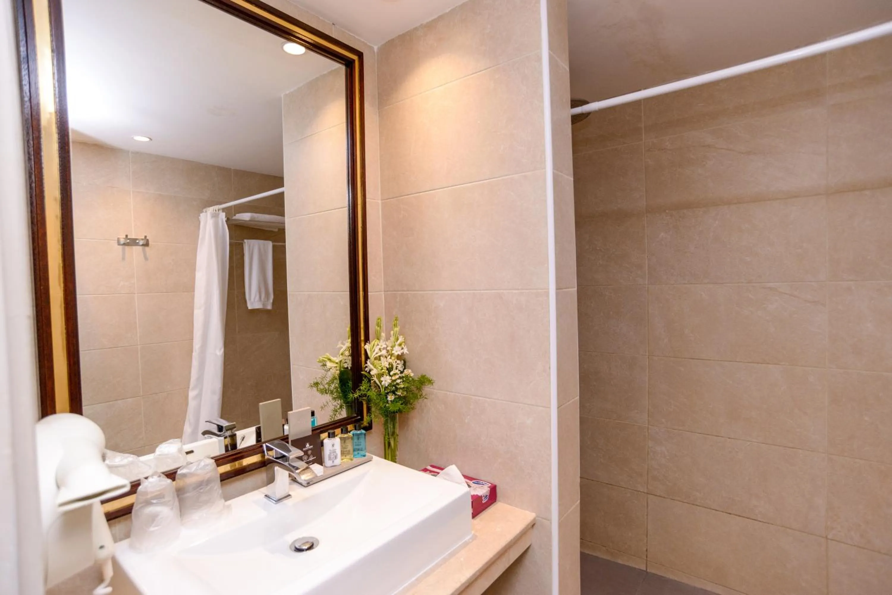 Shower in Hôtel Sarakawa