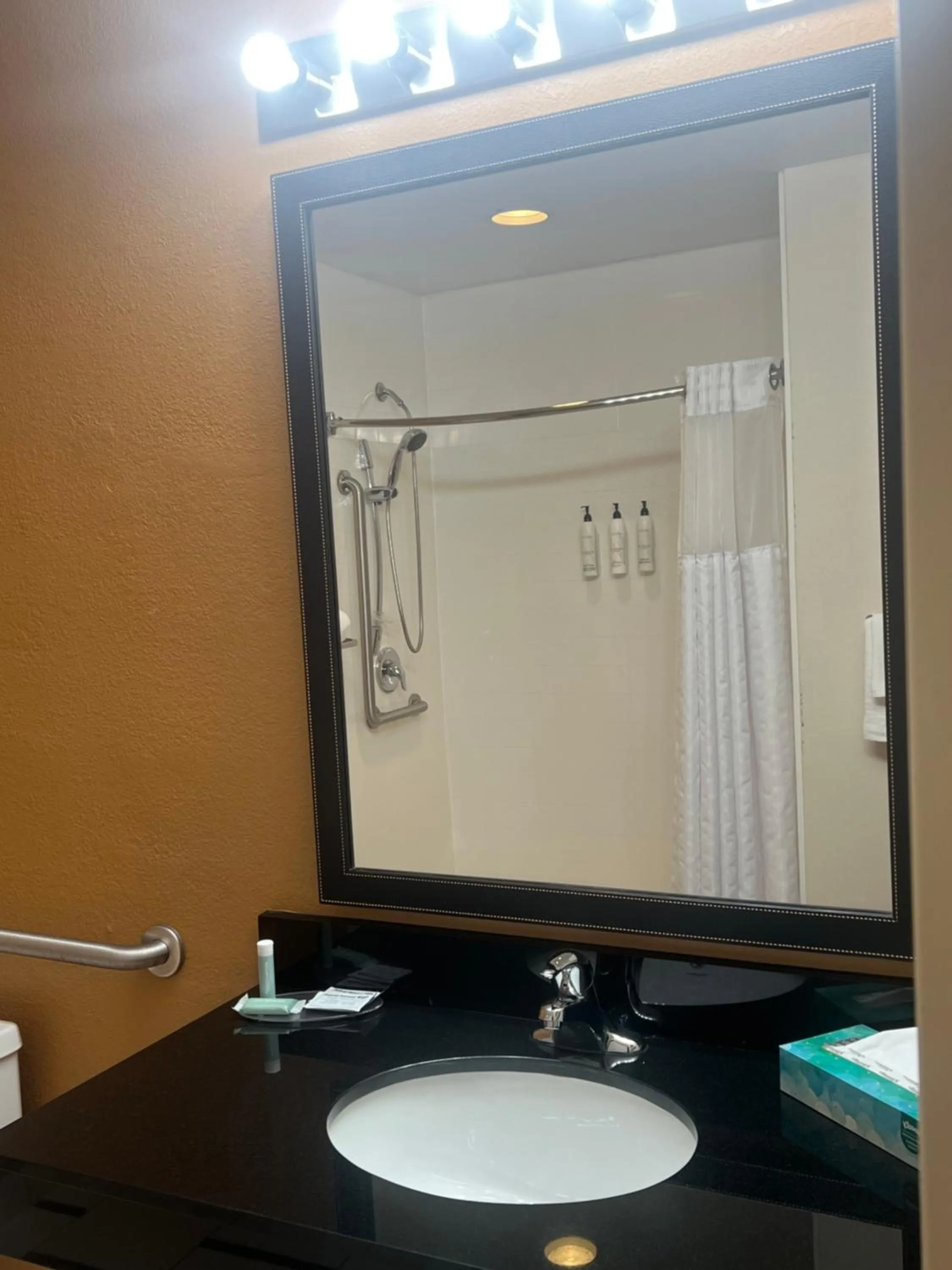 Bathroom in Fairfield Inn and Suites by Marriott Atlanta Suwanee