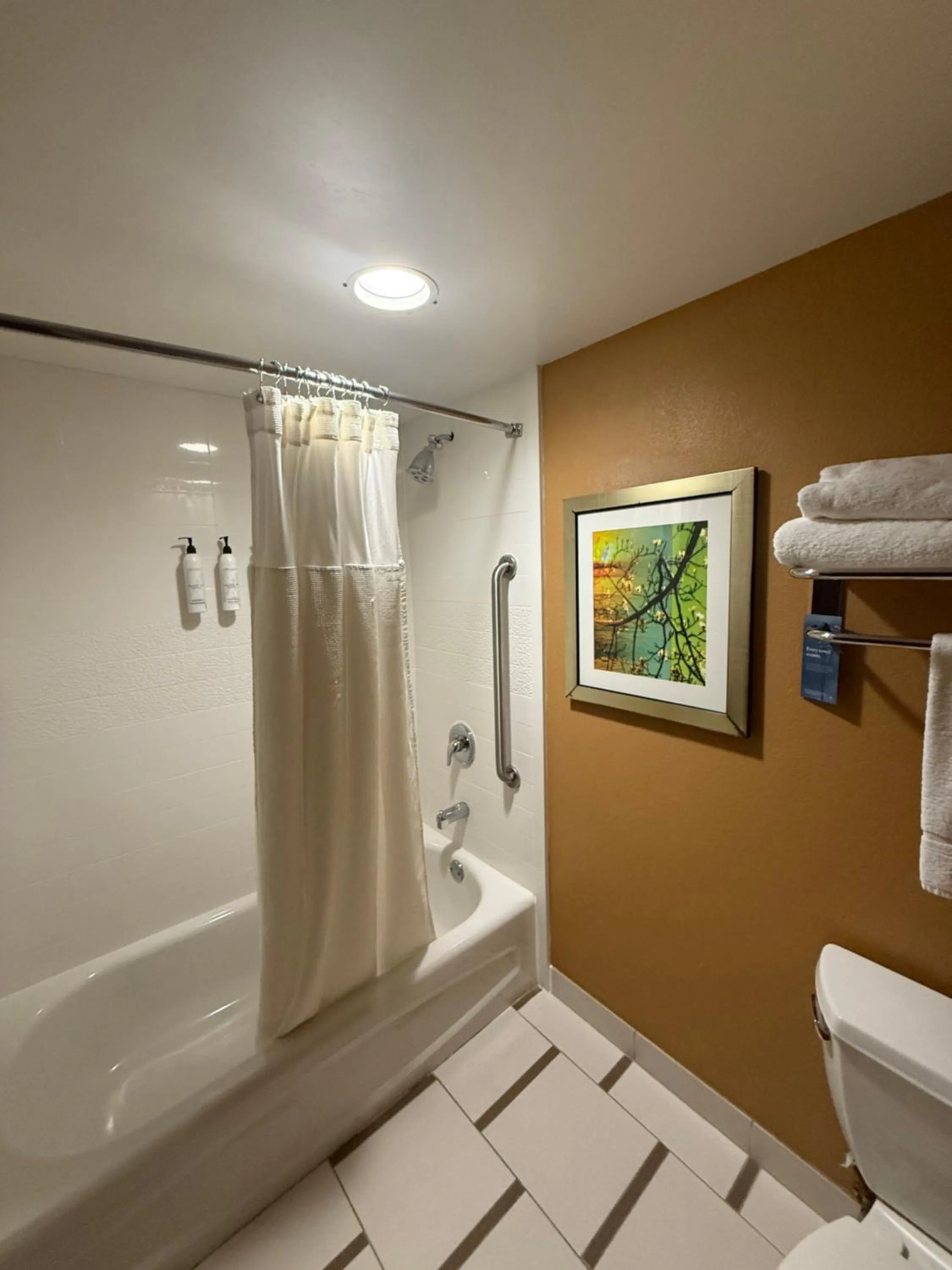 Bathroom in Fairfield Inn and Suites by Marriott Atlanta Suwanee