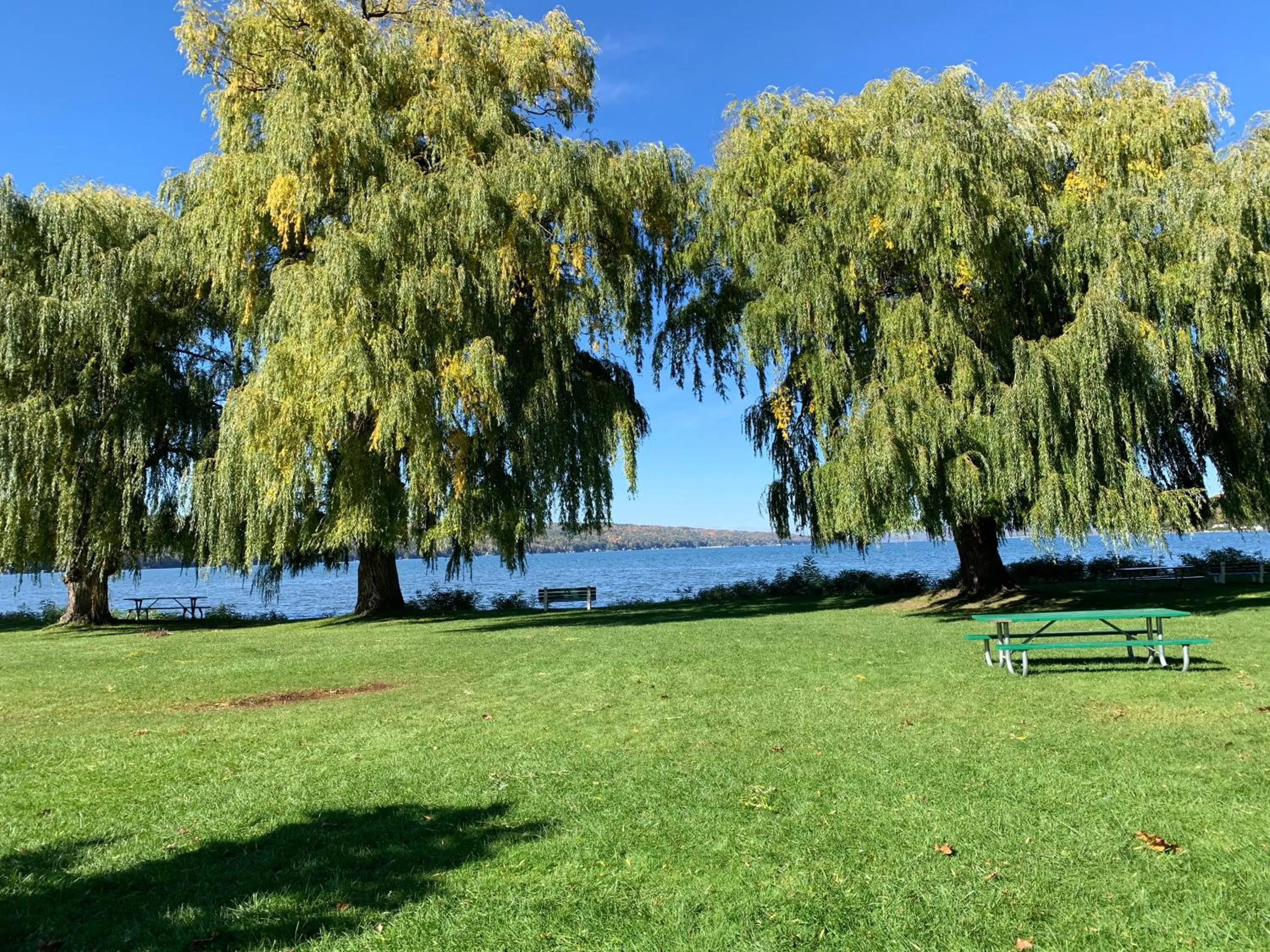 Natural landscape in Country Inn & Suites by Radisson, Ithaca, NY