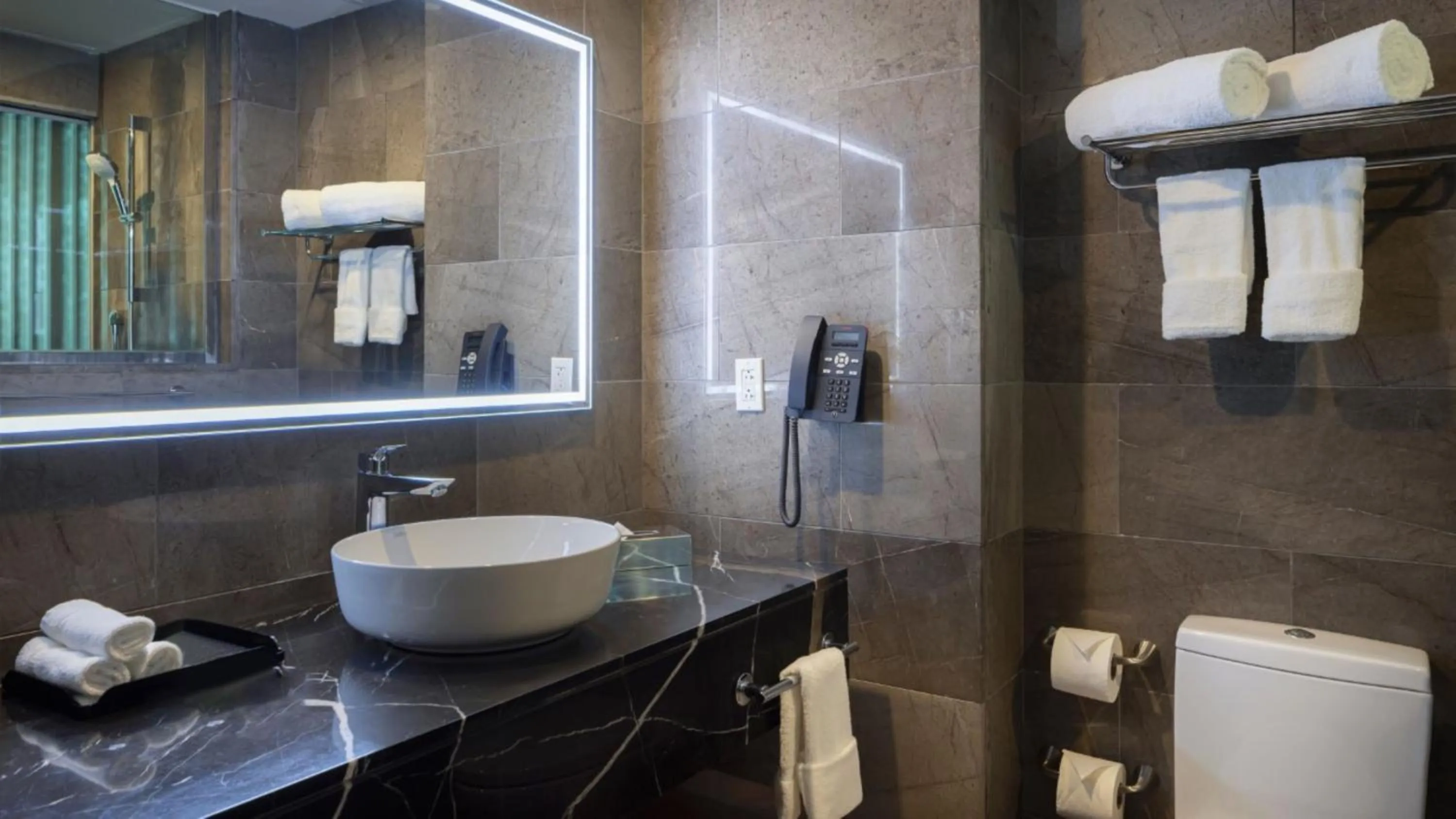 Bathroom in Holiday Inn Santo Domingo by IHG