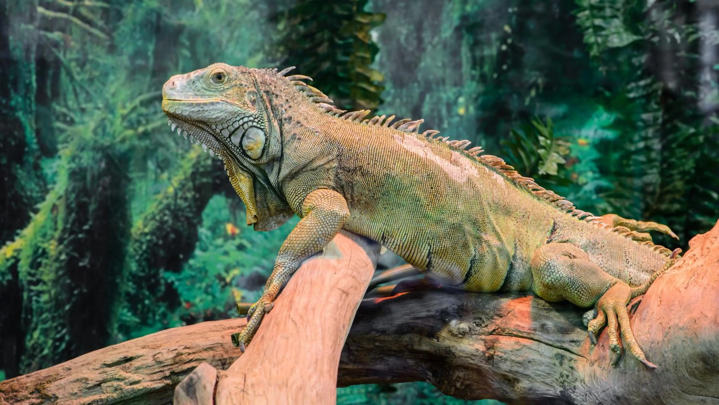 Nearby landmark in Holiday Inn Santo Domingo by IHG