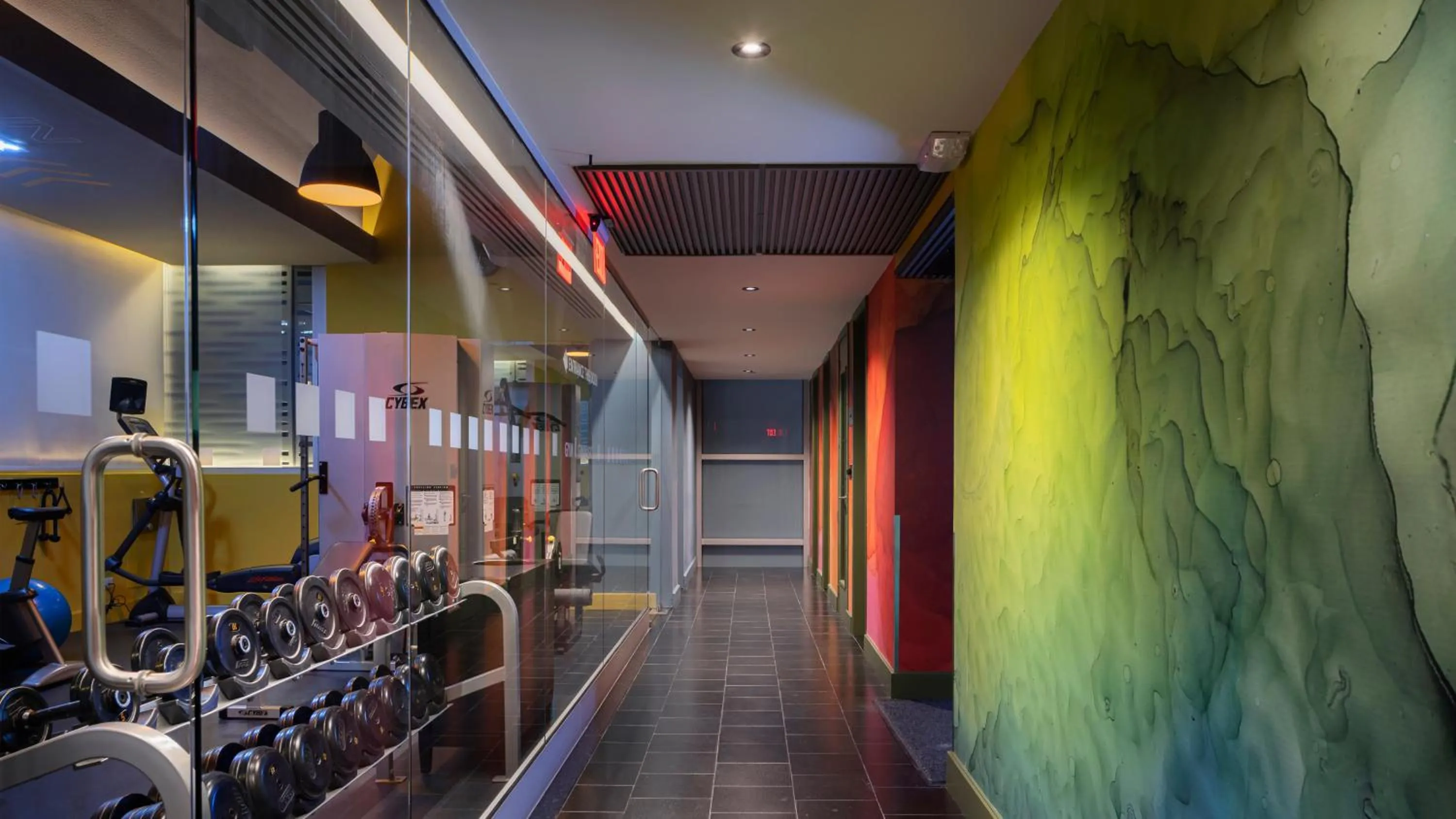 Fitness centre/facilities in Holiday Inn Santo Domingo by IHG