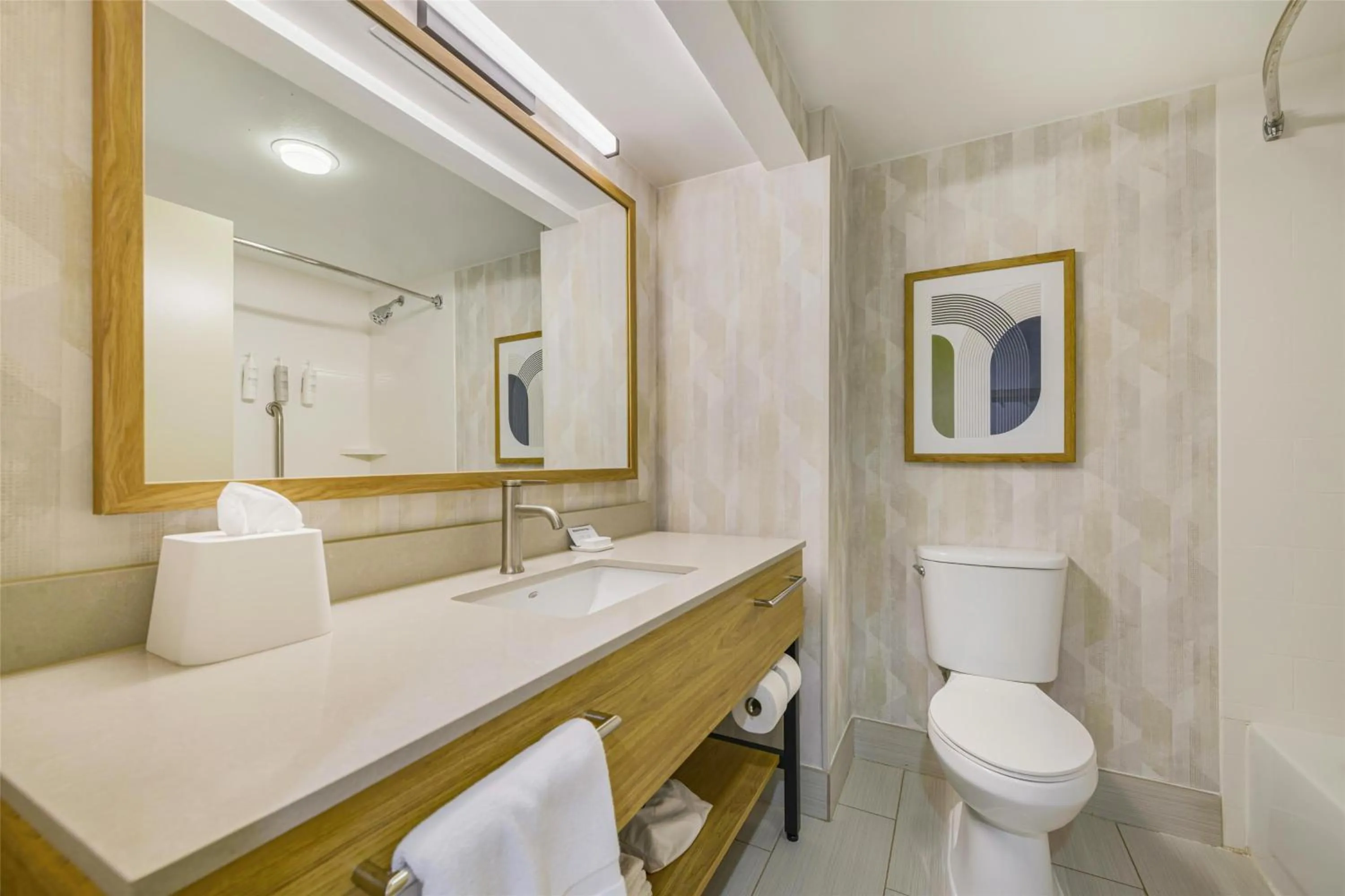 Bathroom in Hampton Inn Huntsville-Arsenal/South Parkway