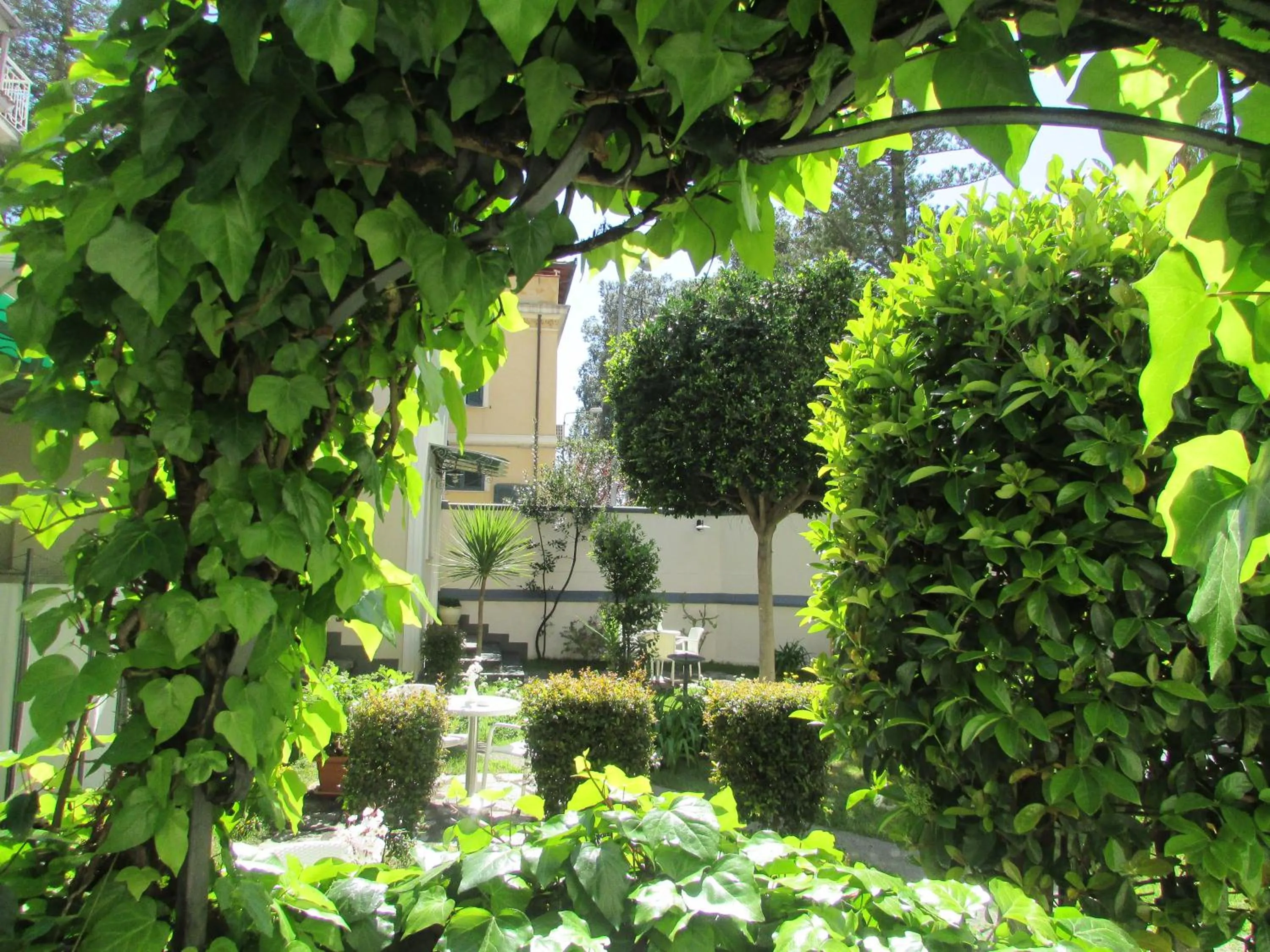Garden in Villa Vittoria Tropea B&B