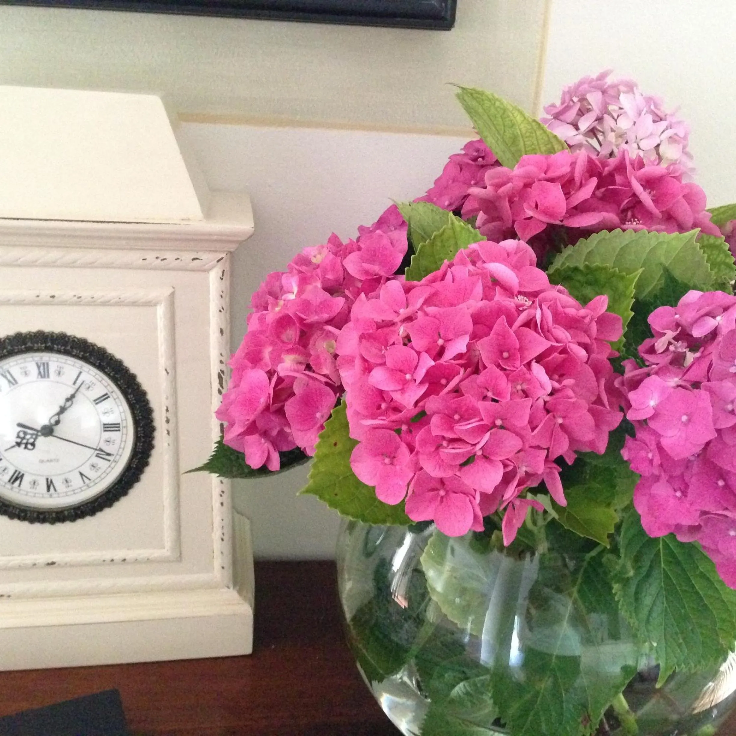 Lobby or reception in Villa Agnese