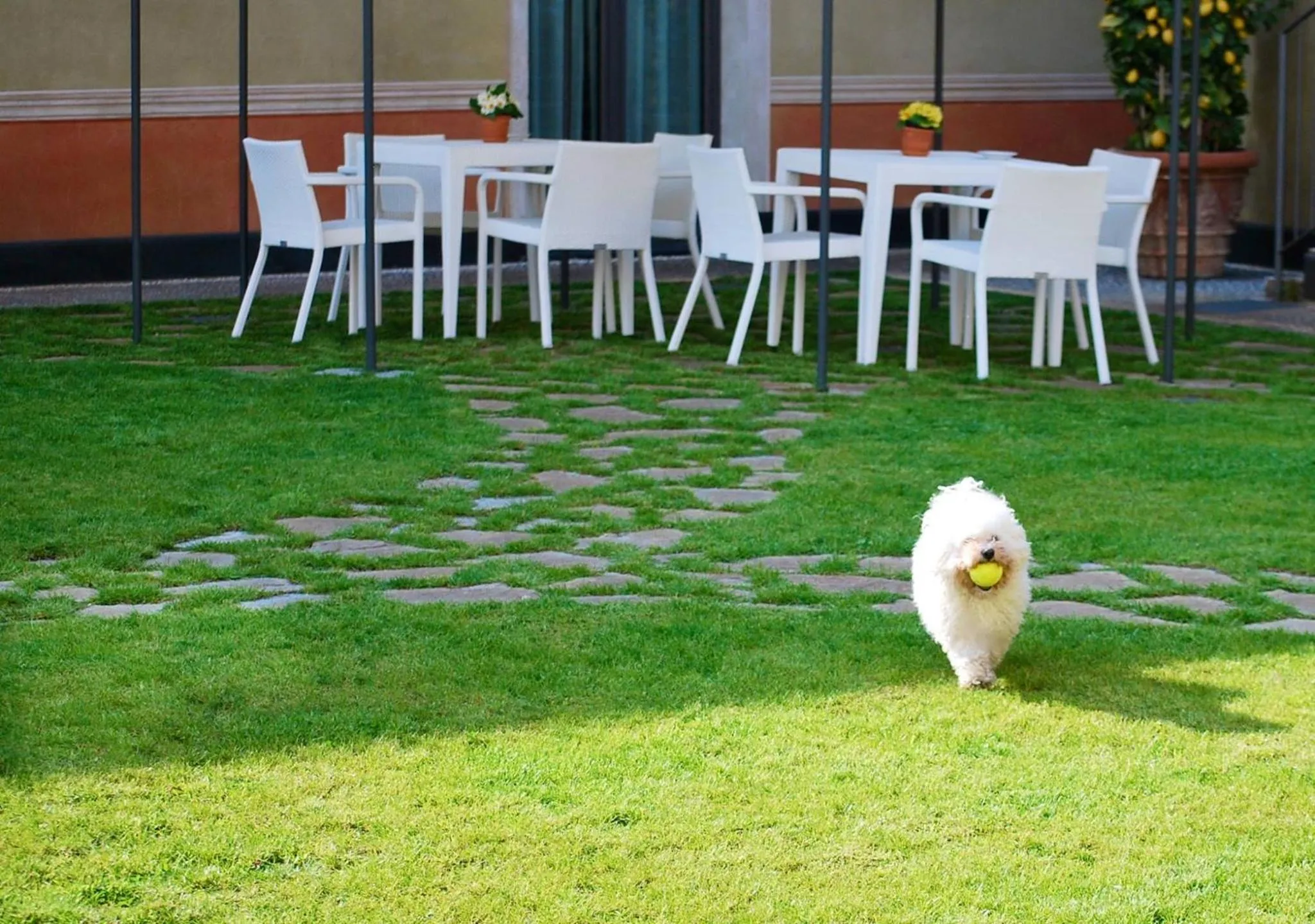 Garden in Villa Agnese