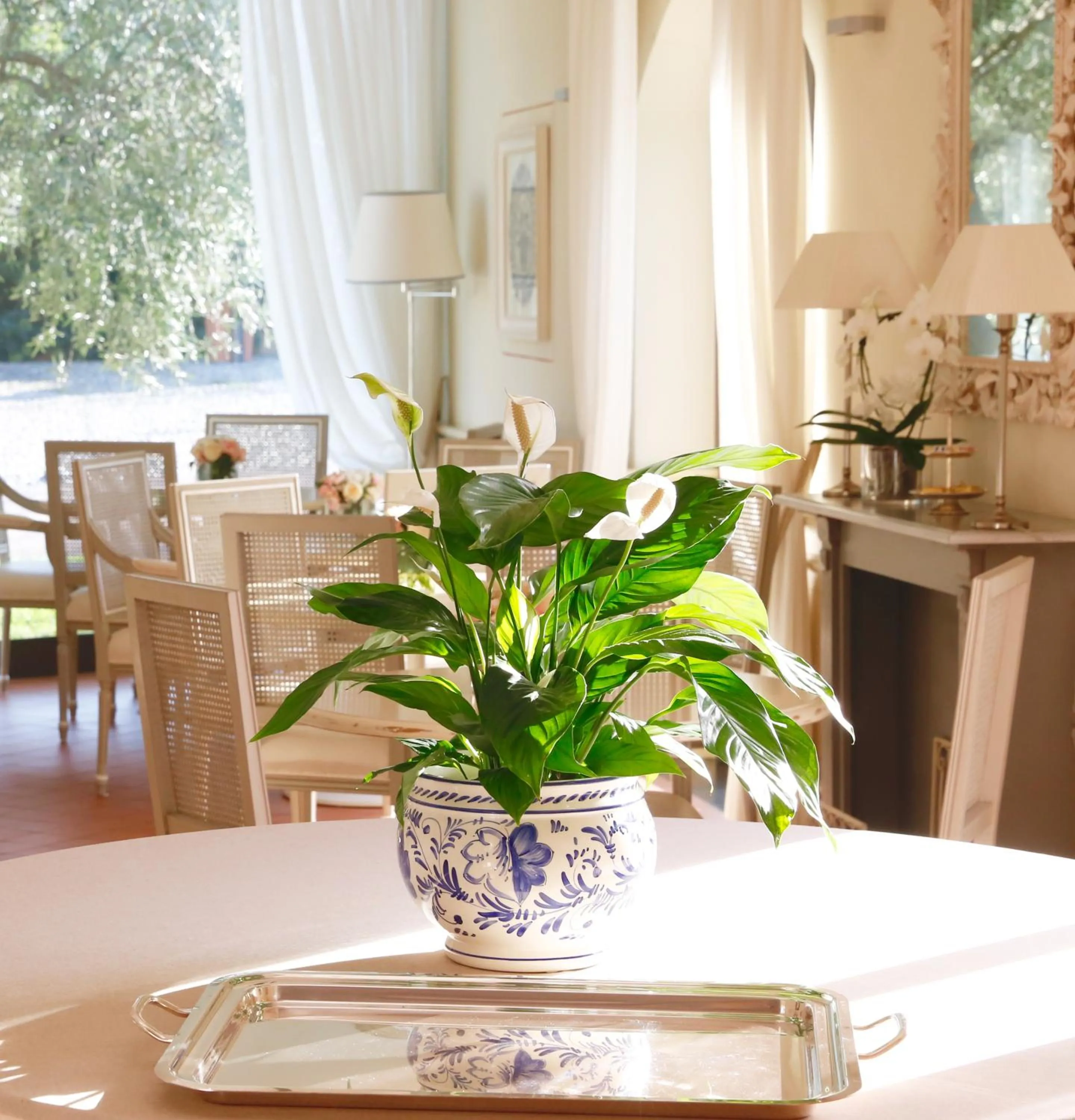 Lounge or bar in Villa Agnese