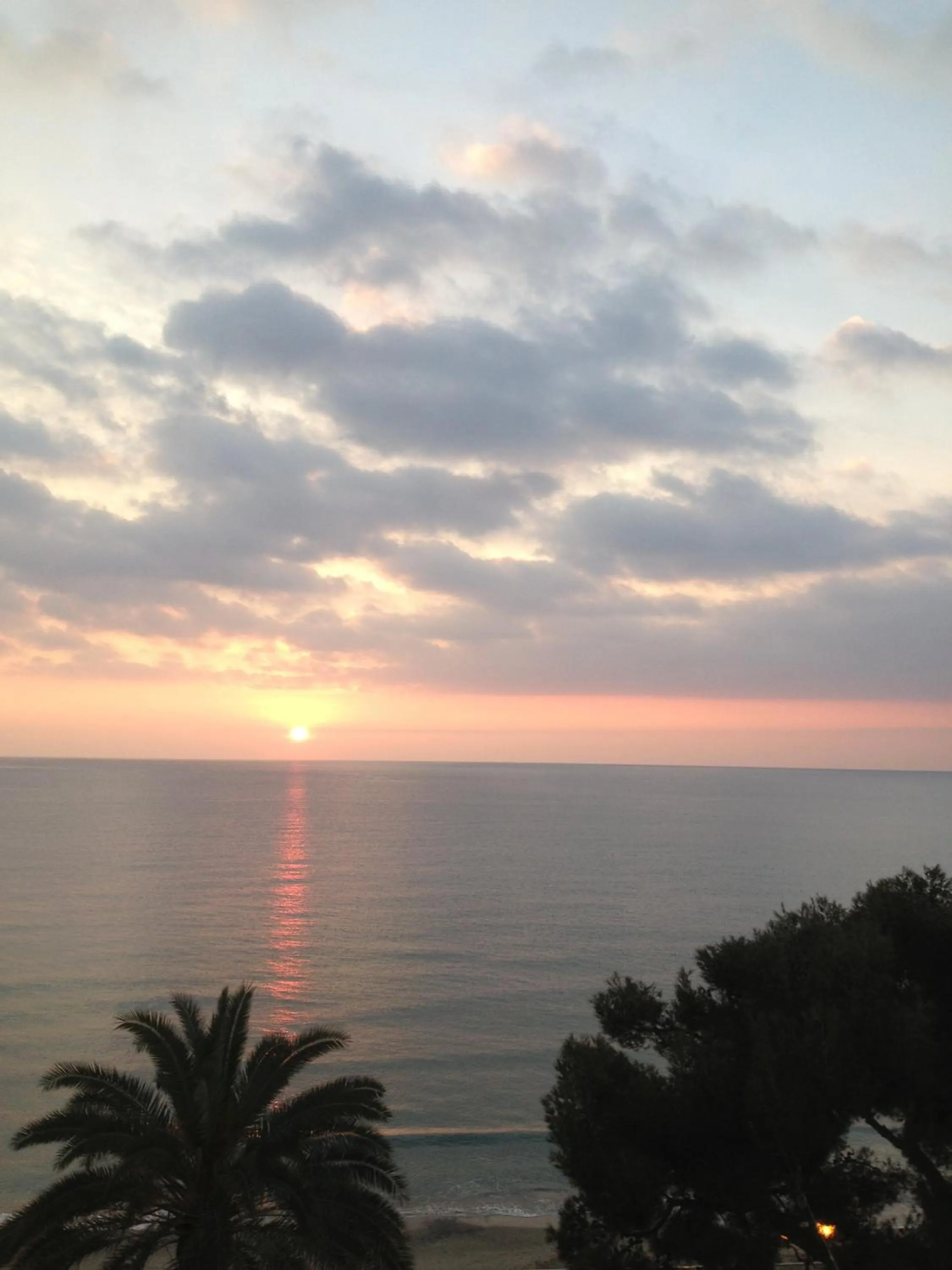 View (from property/room) in Hotel Villa Igea